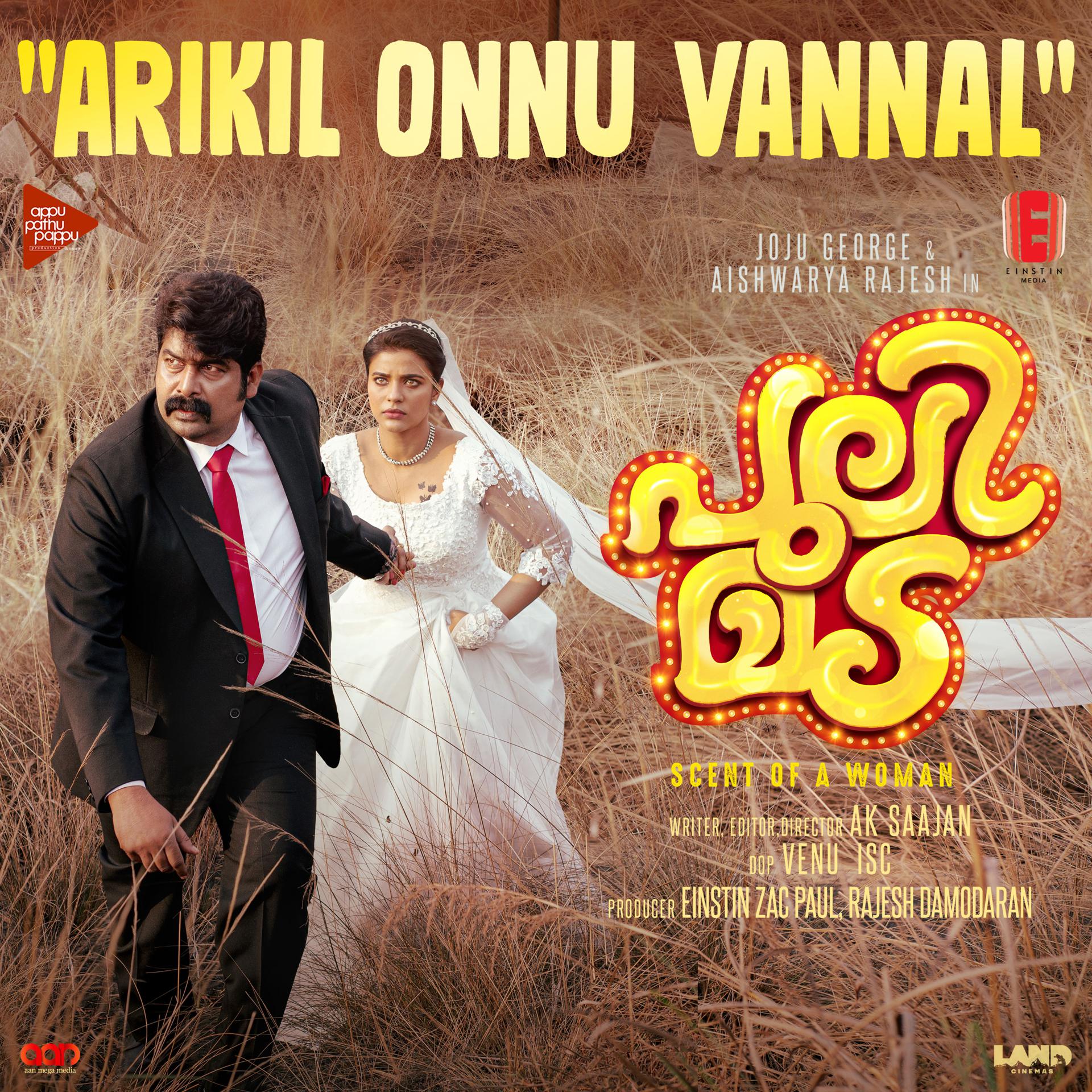 Постер альбома Arikil Onnu Vannal