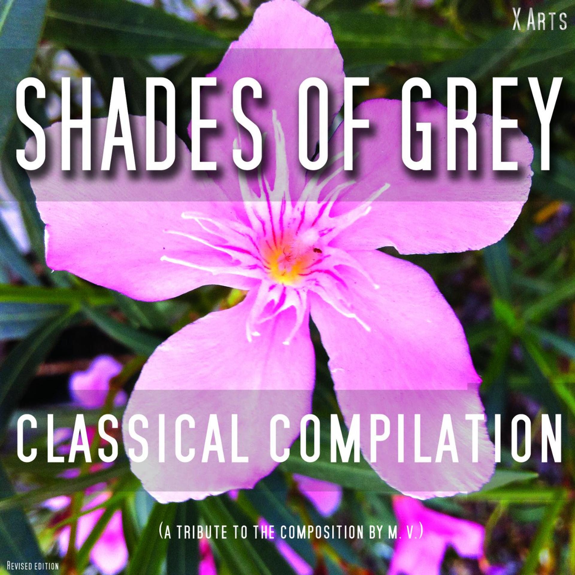 Постер альбома Shades of Grey - Classical Compilation ( Fifty Tracks )