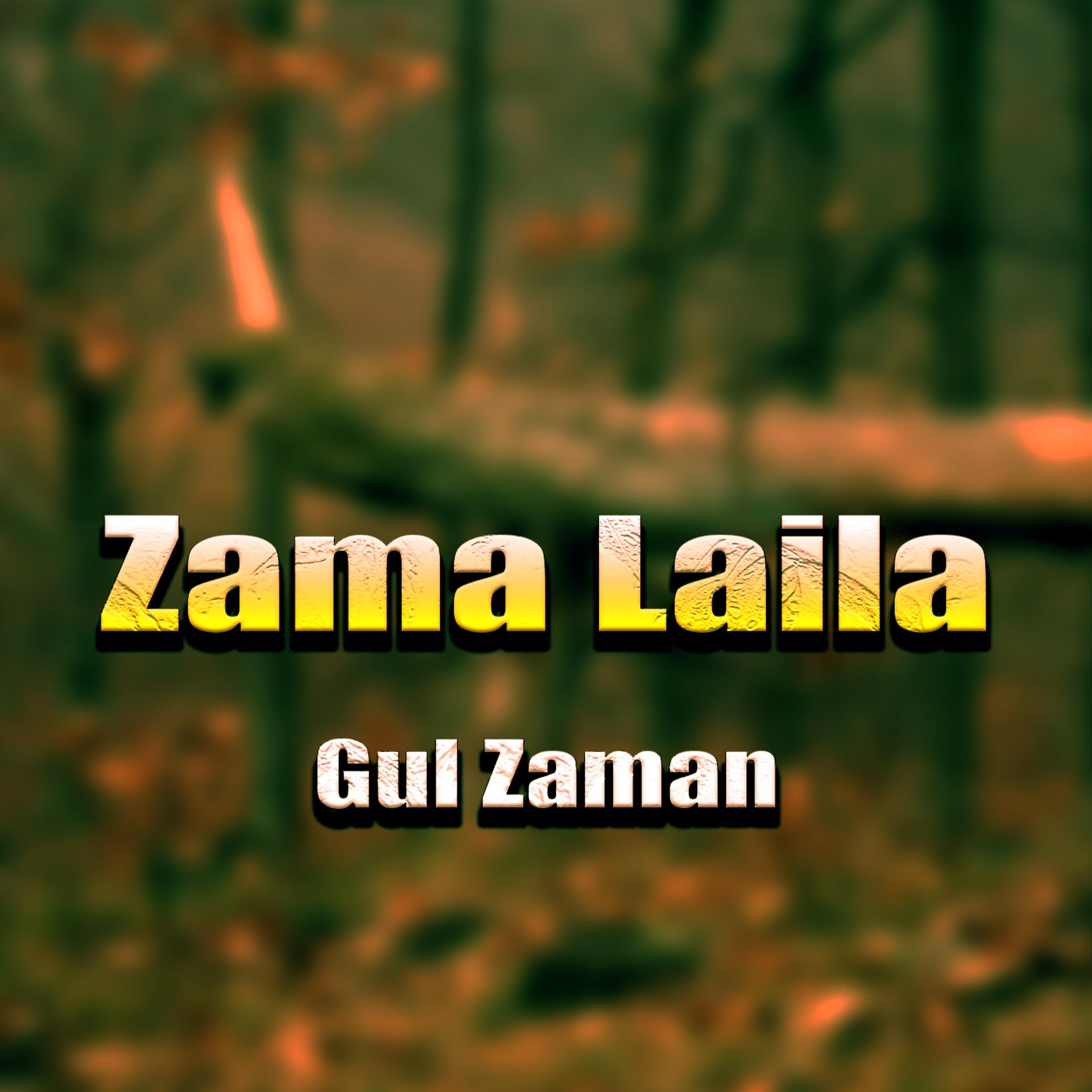 Постер альбома Zama Laila
