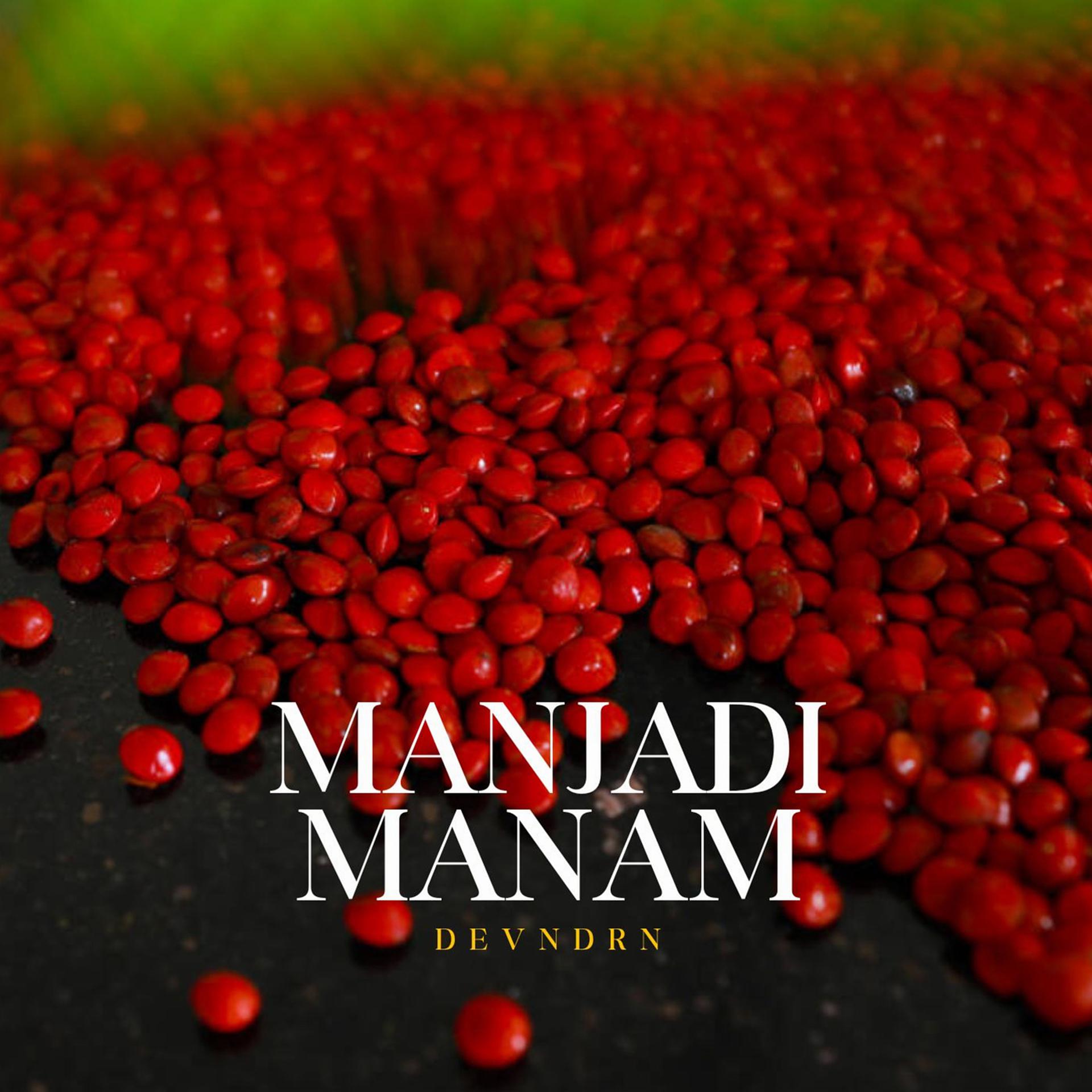 Постер альбома Manjadi Manam