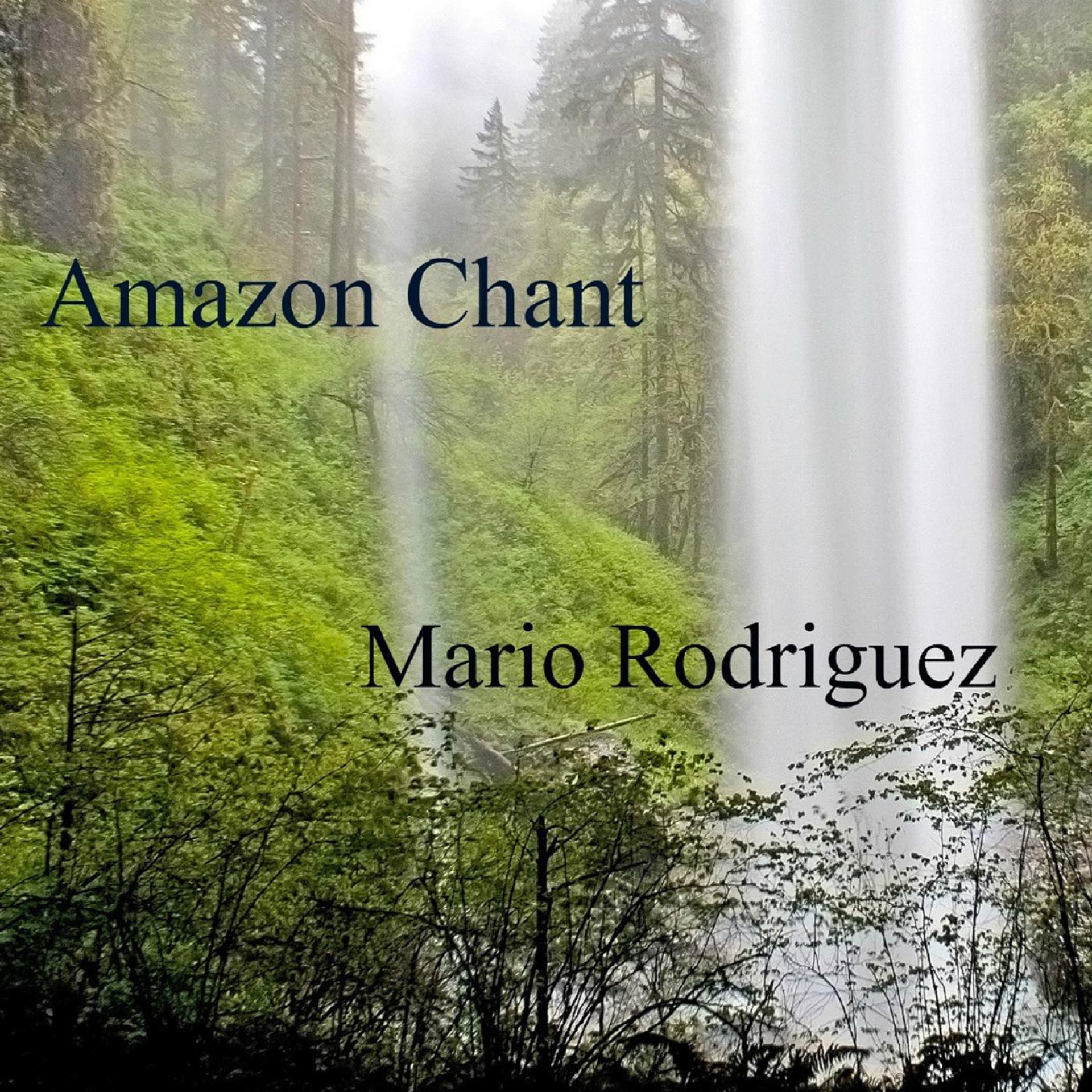 Постер альбома Amazon Chant