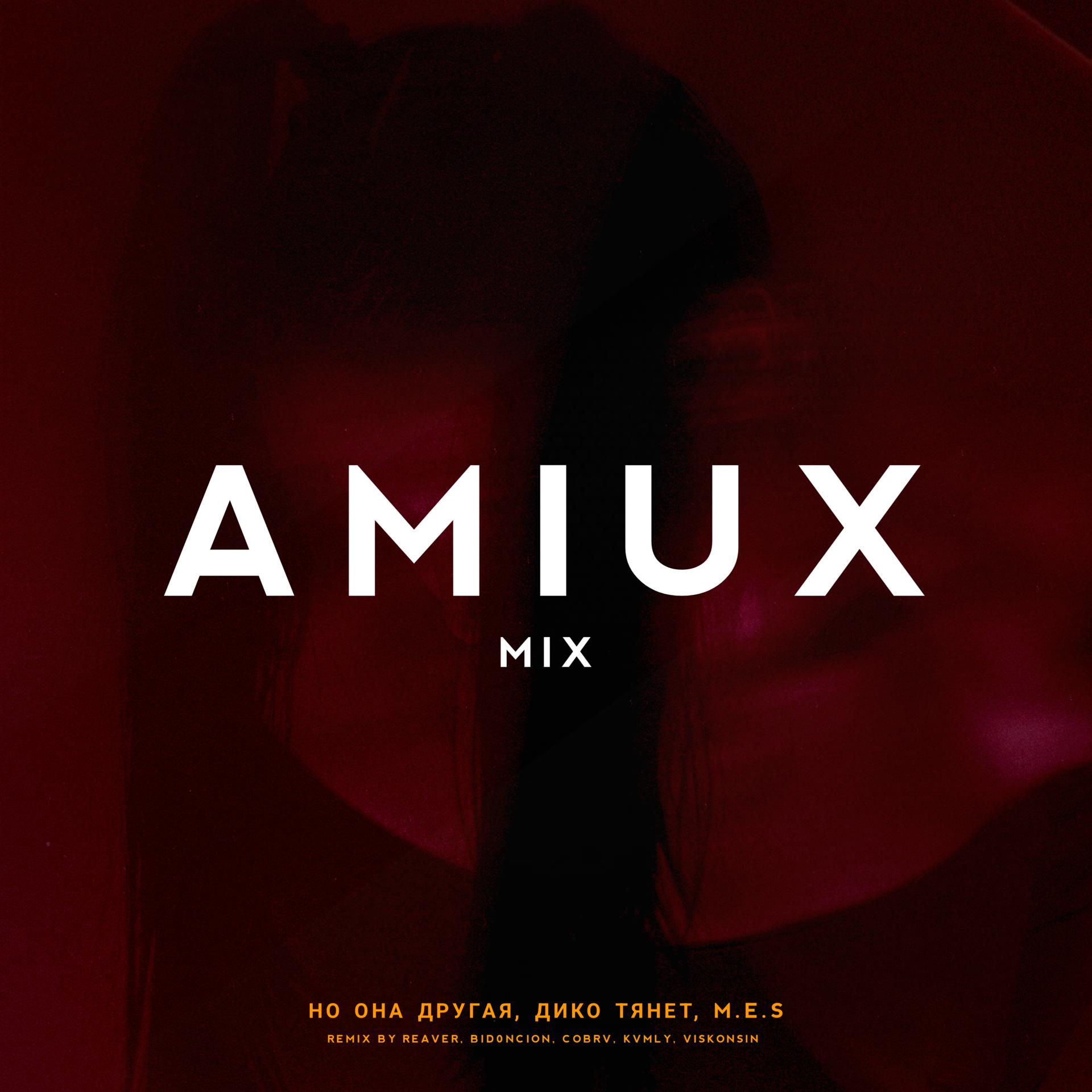 Постер альбома AMIUX MIX