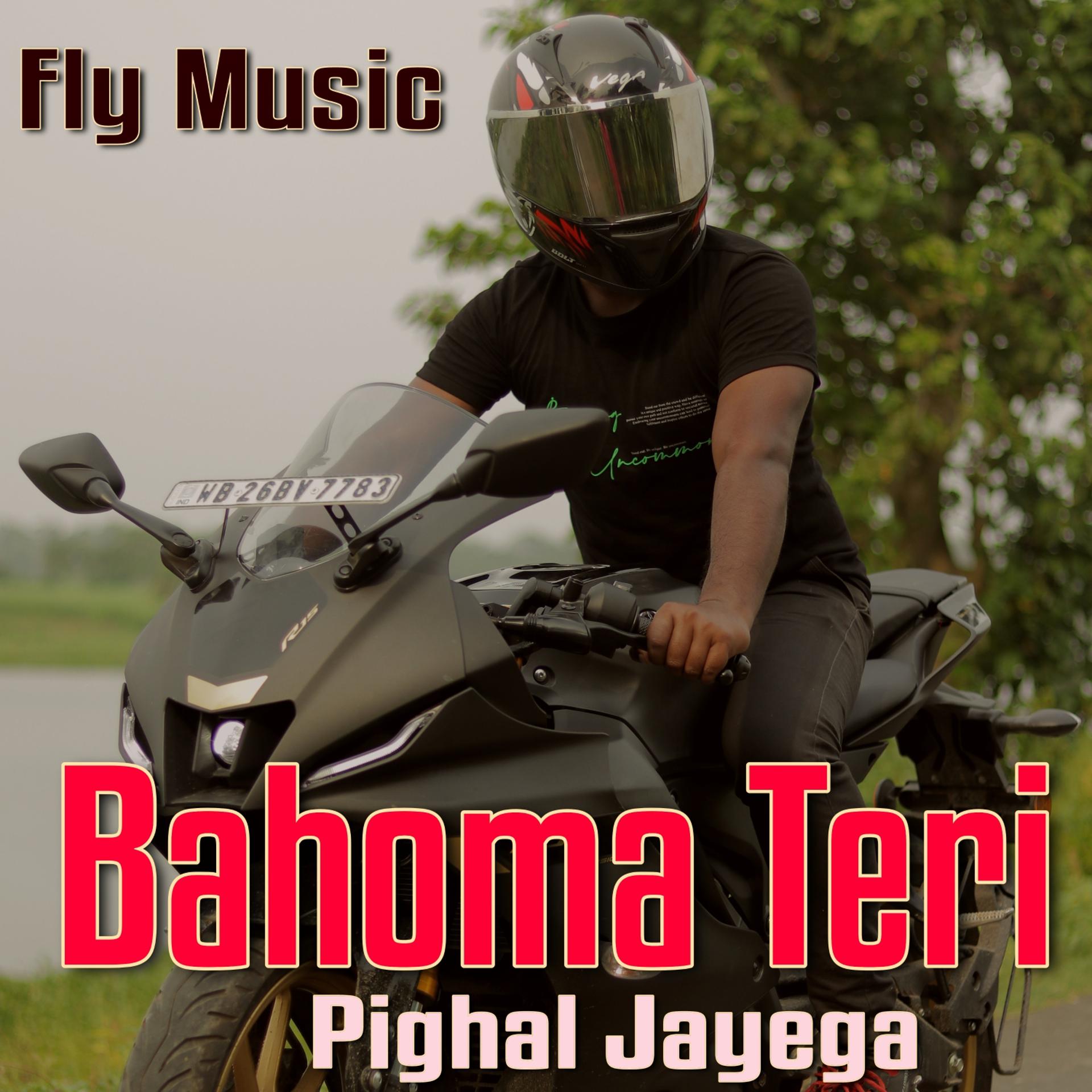 Постер альбома Bahoma Teri Pighal Jayega