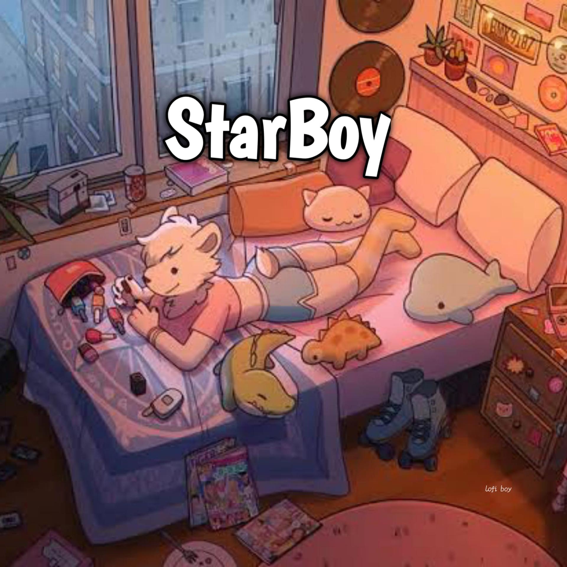 Постер альбома StarBoy
