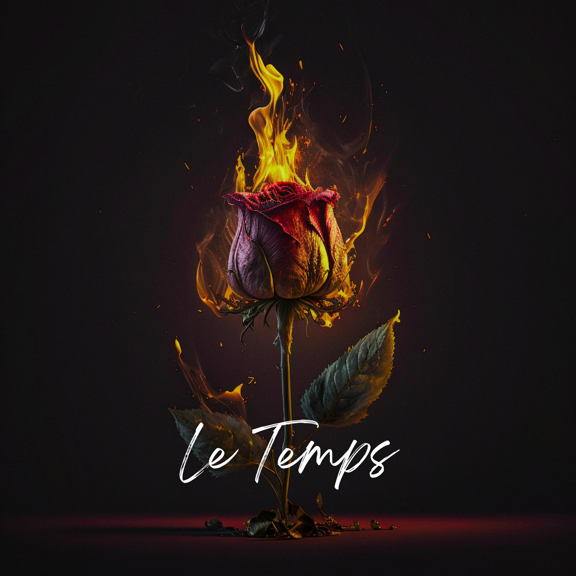 Постер альбома Le Temps