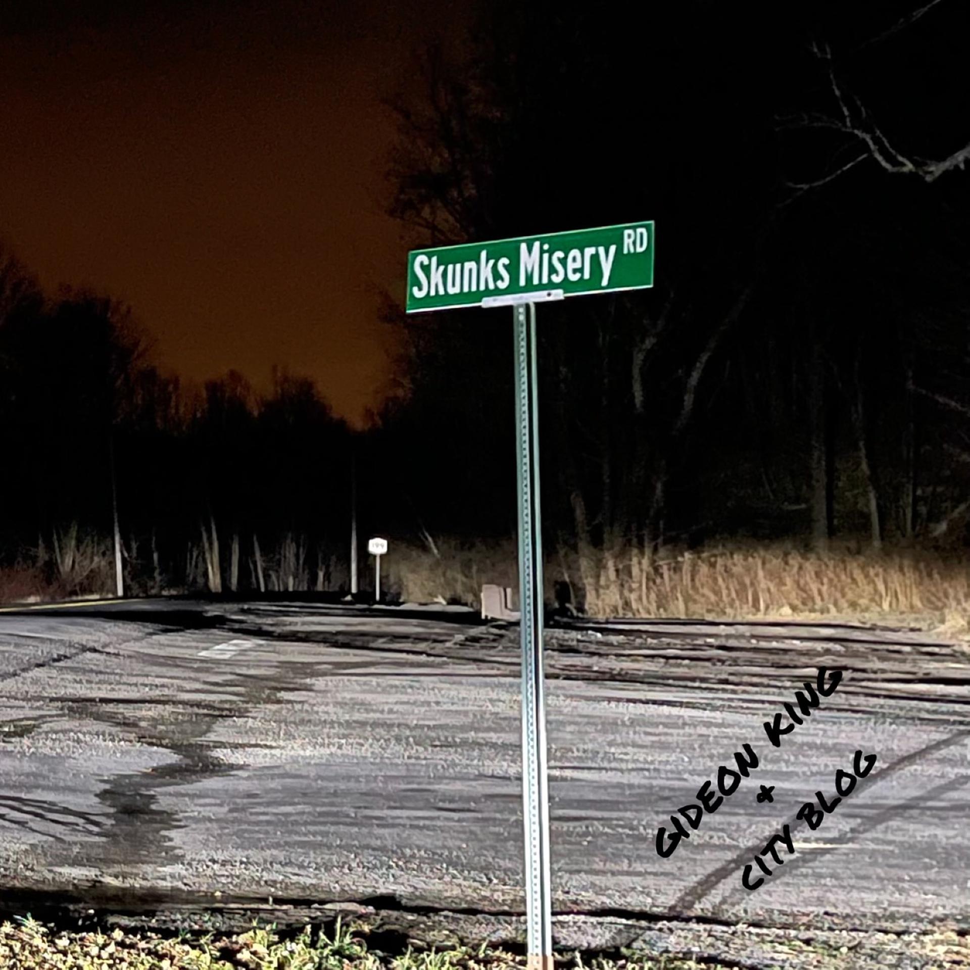 Постер альбома Skunks Misery Road