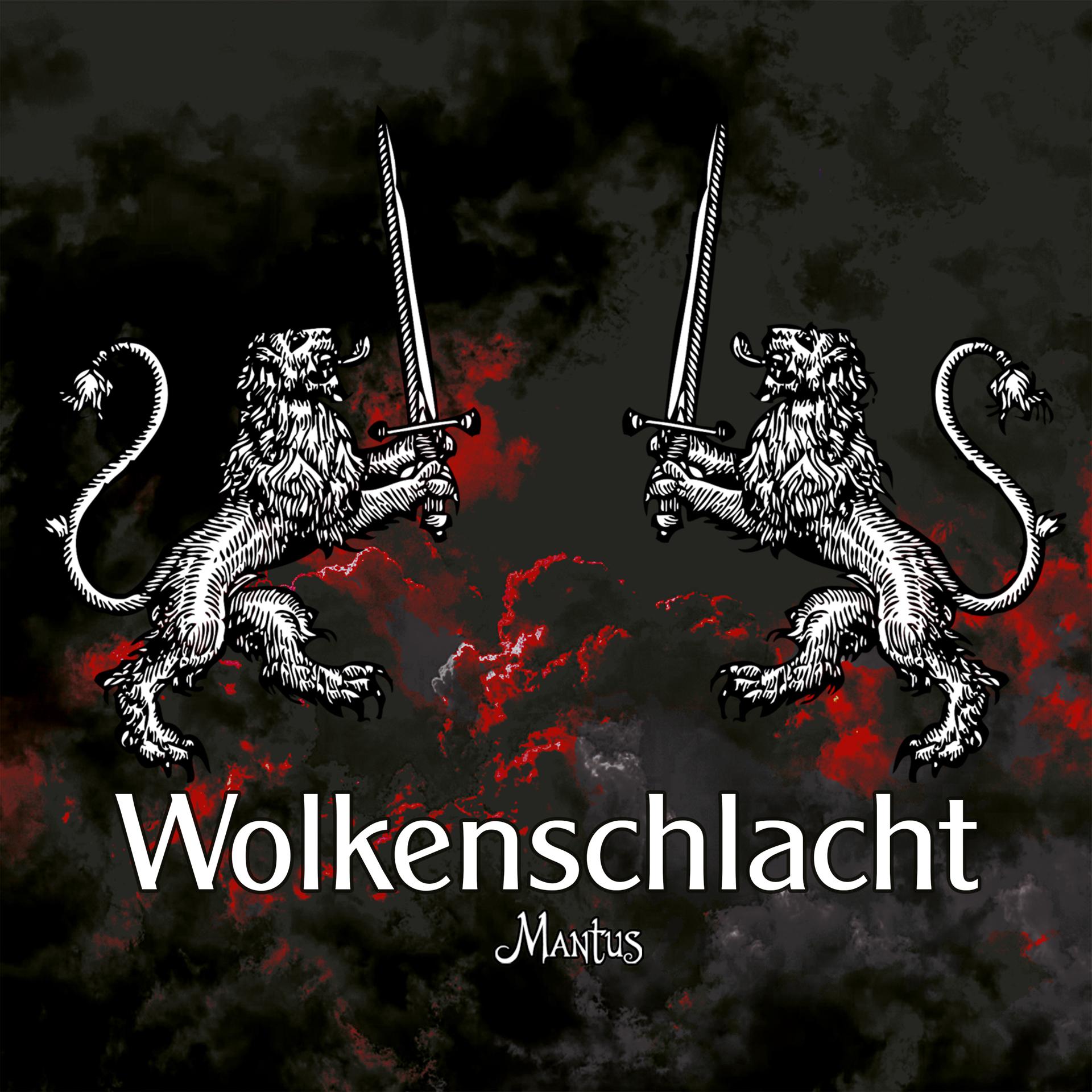 Постер альбома Wolkenschlacht