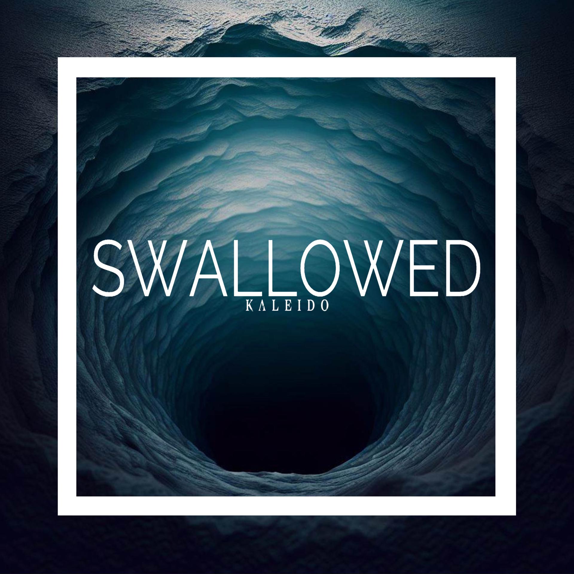 Постер альбома SWALLOWED