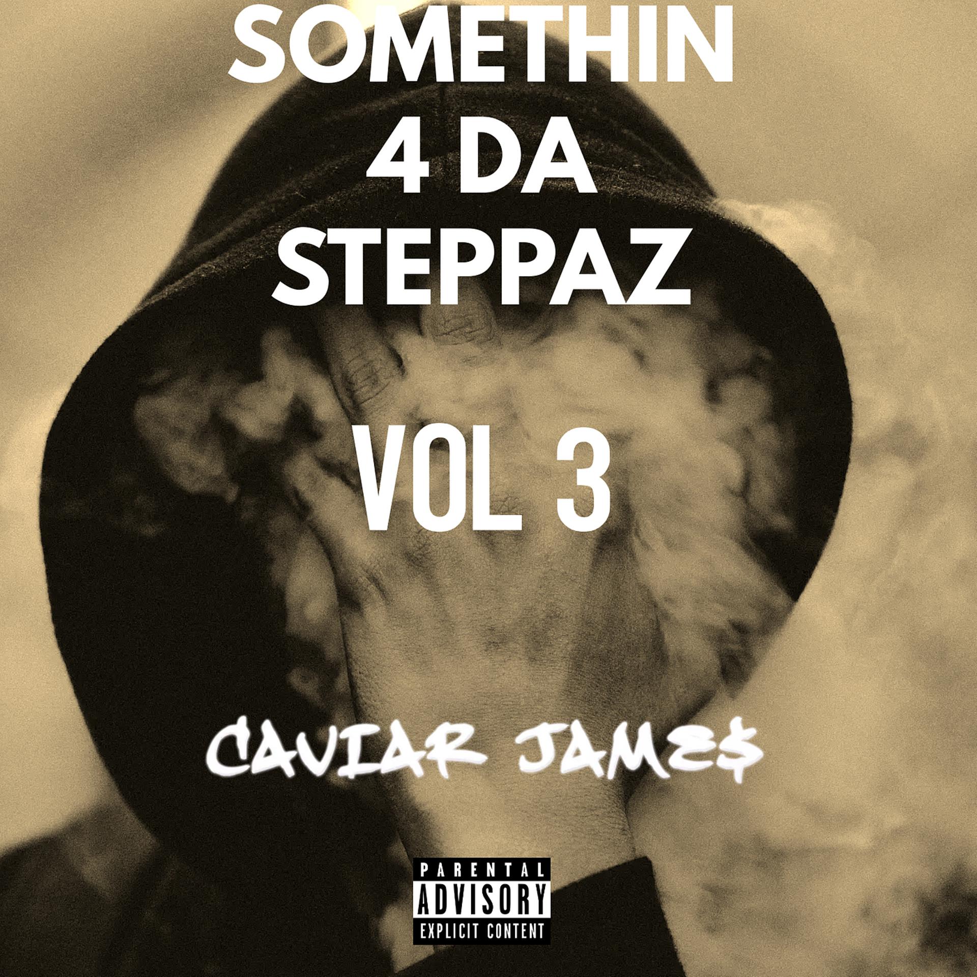Постер альбома Somethin 4 da Steppaz, Vol. 3
