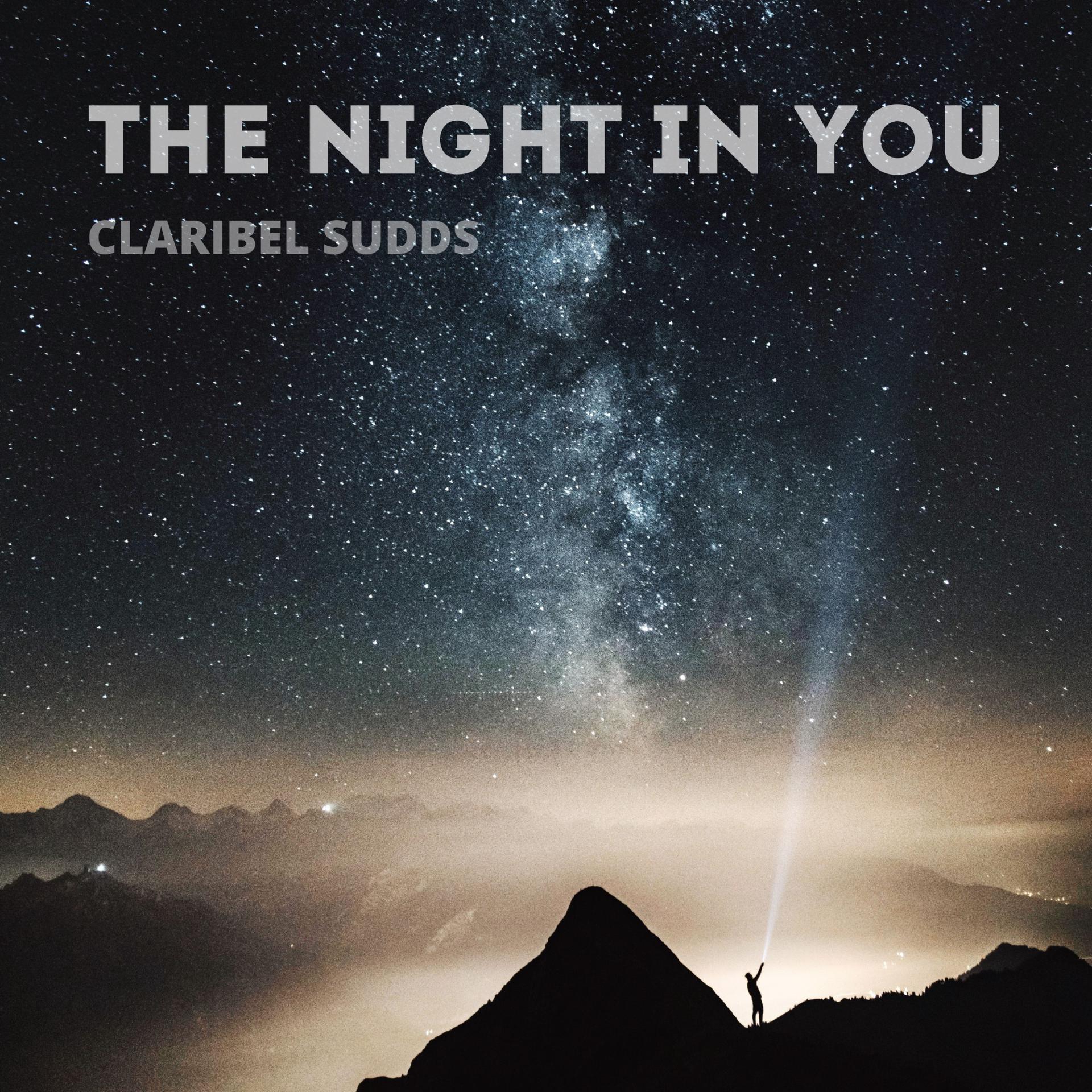 Постер альбома The Night In You