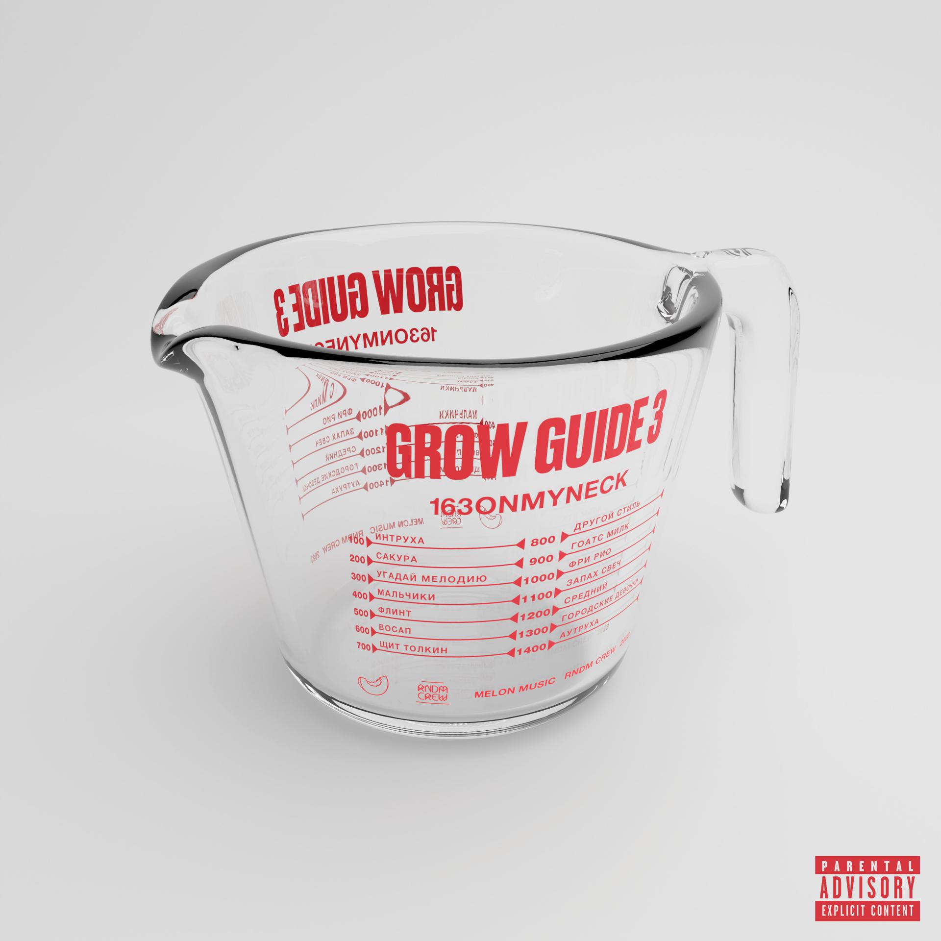 Постер альбома GROW GUIDE 3