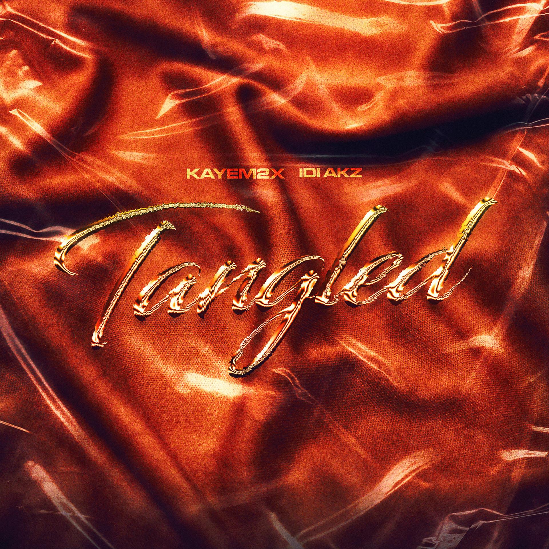 Постер альбома Tangled