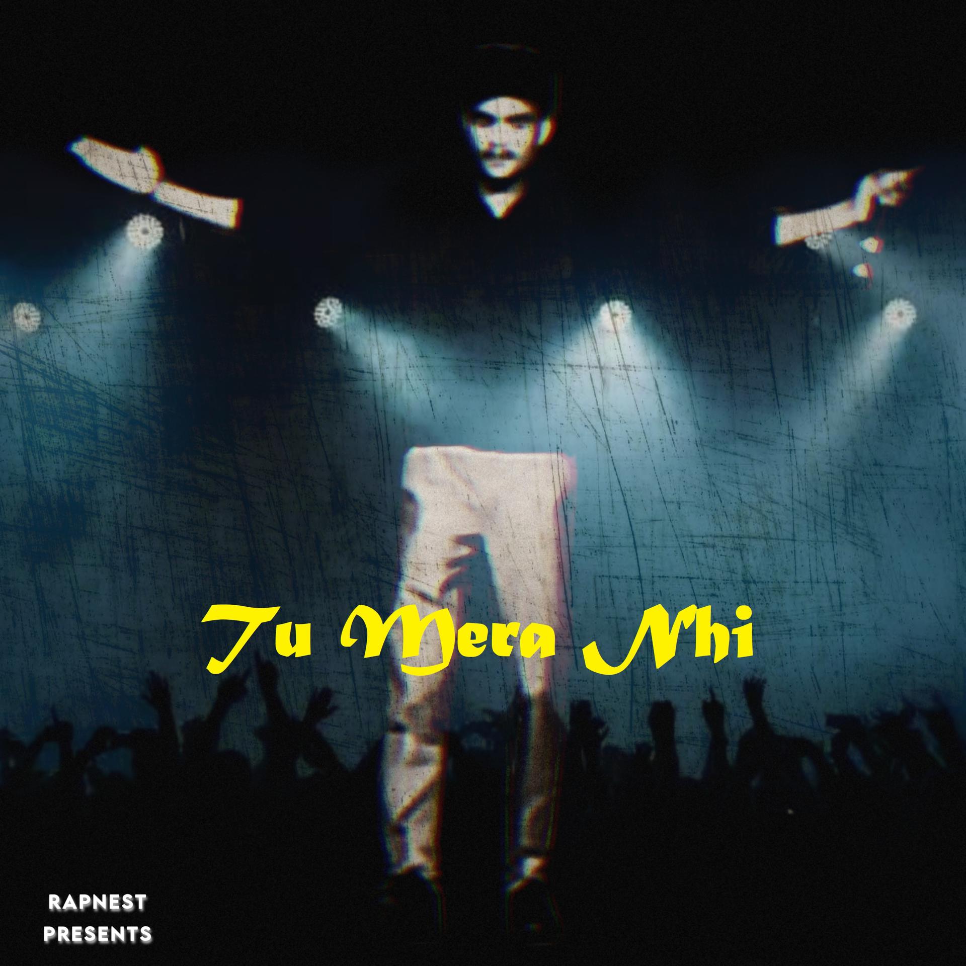 Постер альбома Tu Mera Nhi