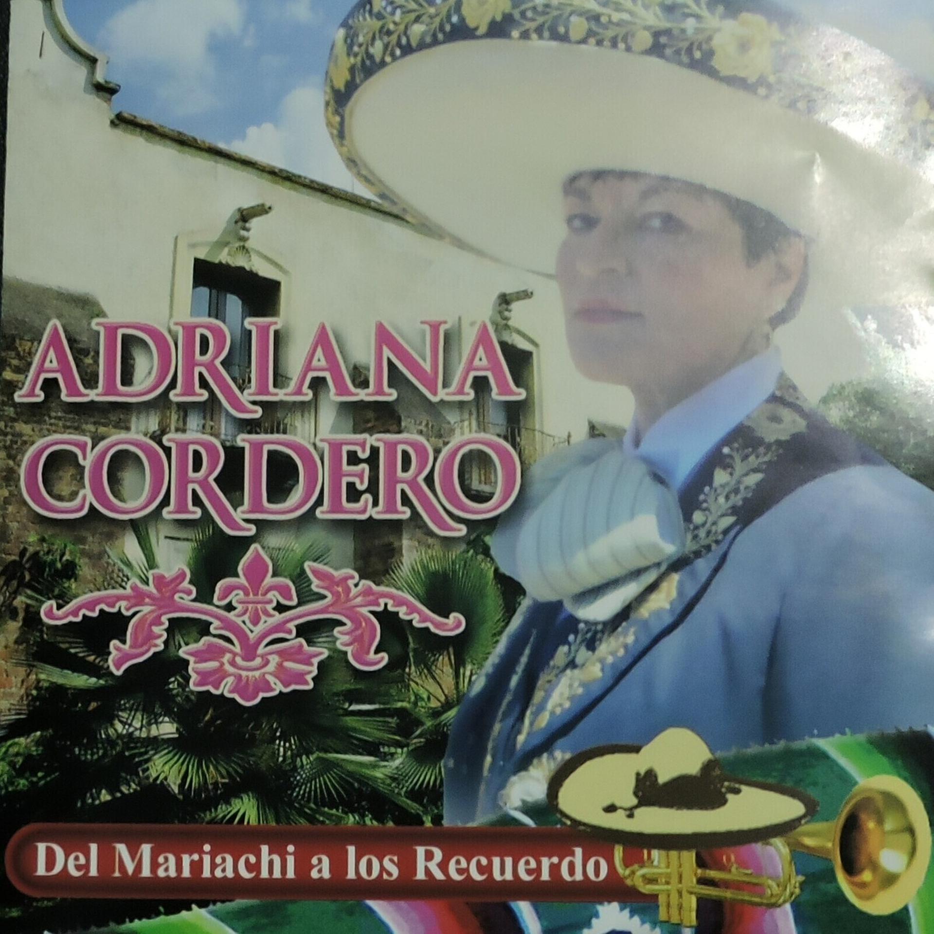 Постер альбома Del Mariachi a Los Recuerdo