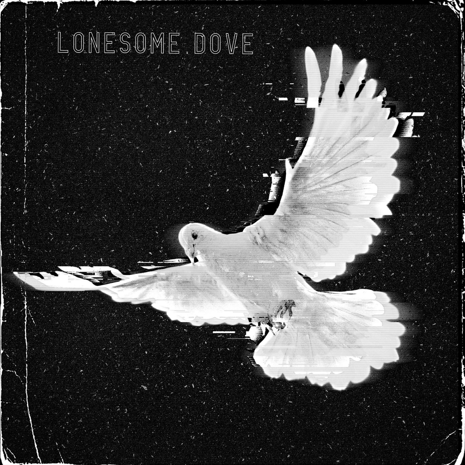Постер альбома Lonesome Dove