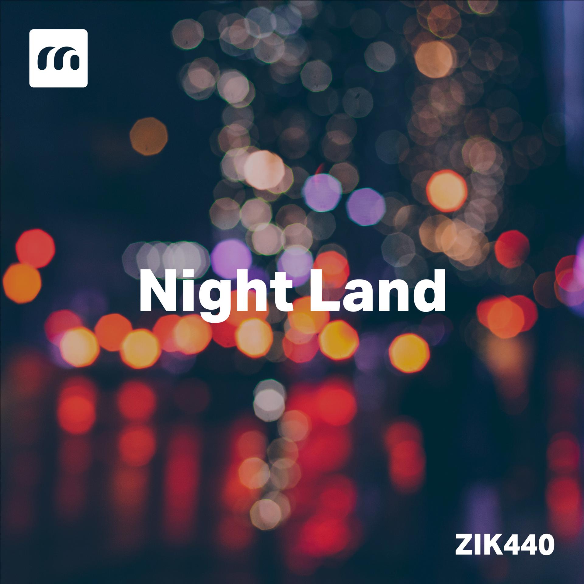 Постер альбома Night Land