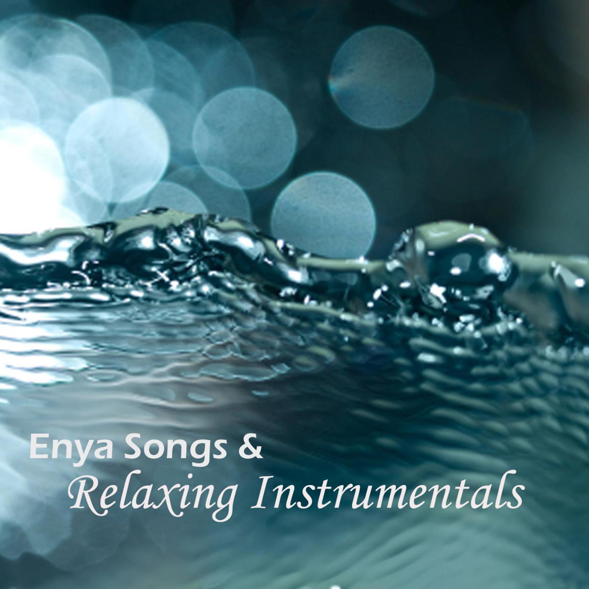 Постер альбома Enya Songs - And Relaxing Instrumentals