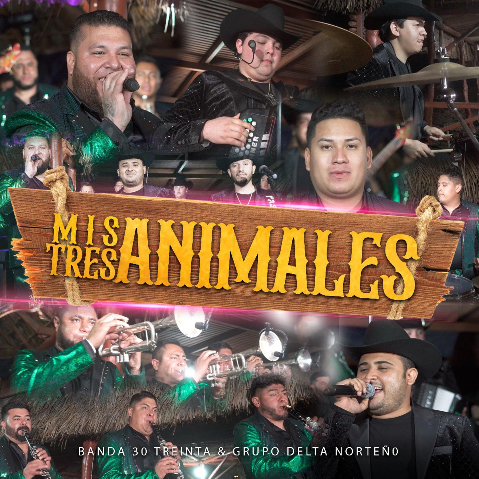 Постер альбома Mis Tres Animales
