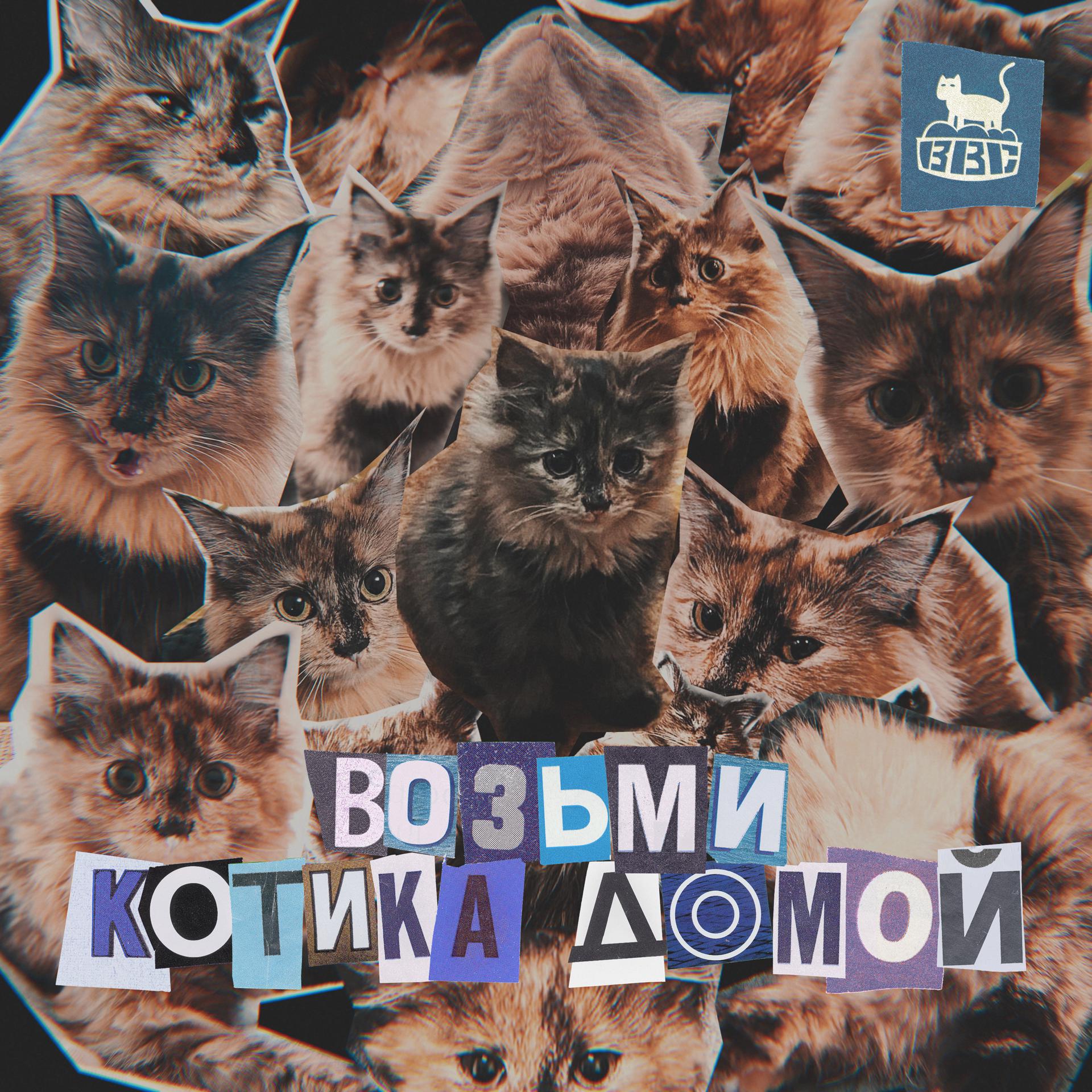 Постер альбома Возьми котика домой