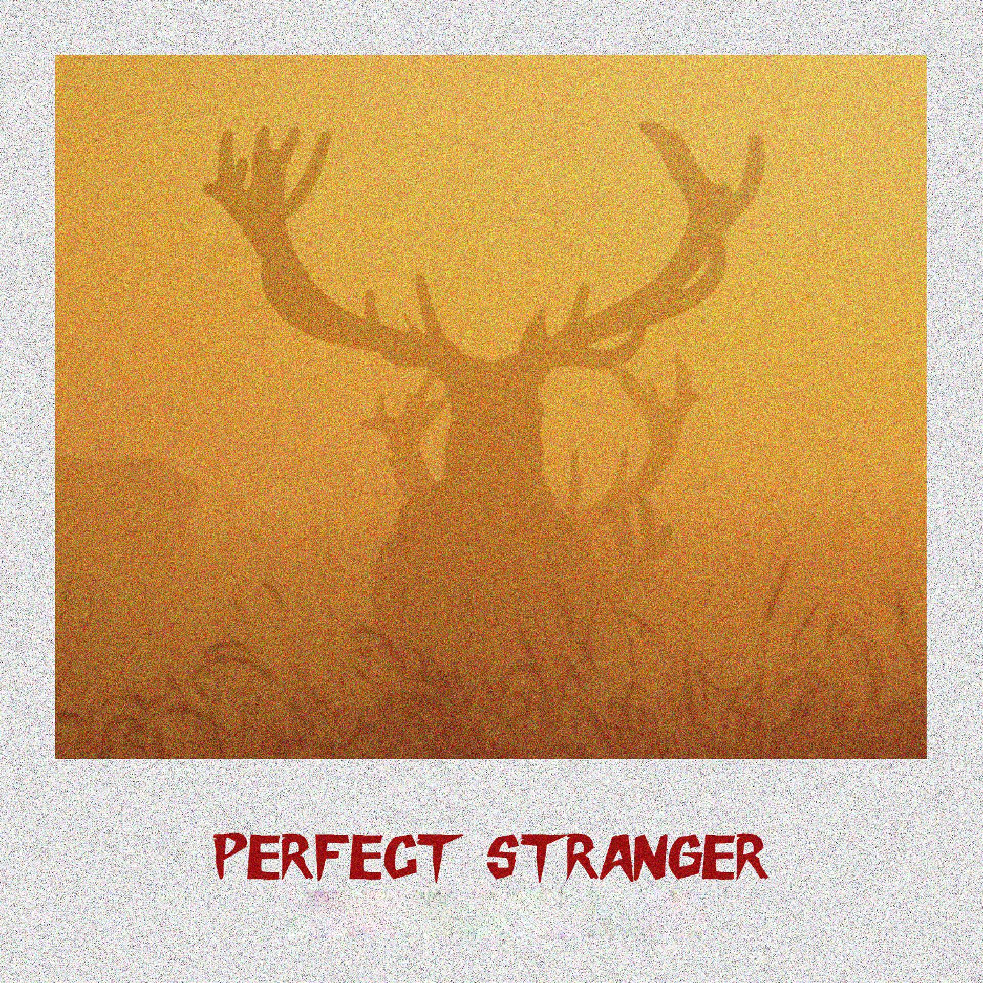 Постер альбома Perfect Stranger