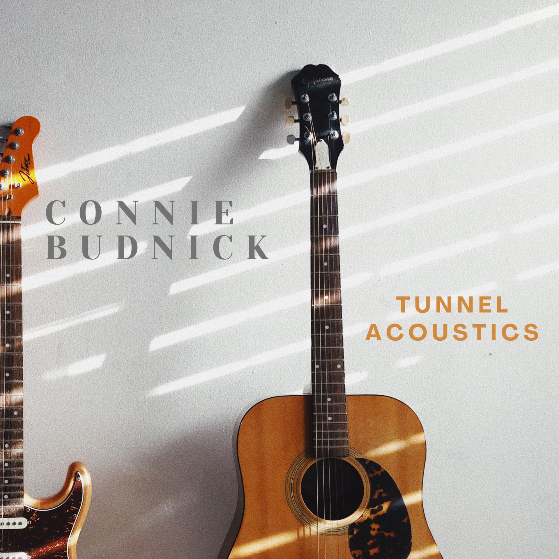Постер альбома Tunnel Acoustics