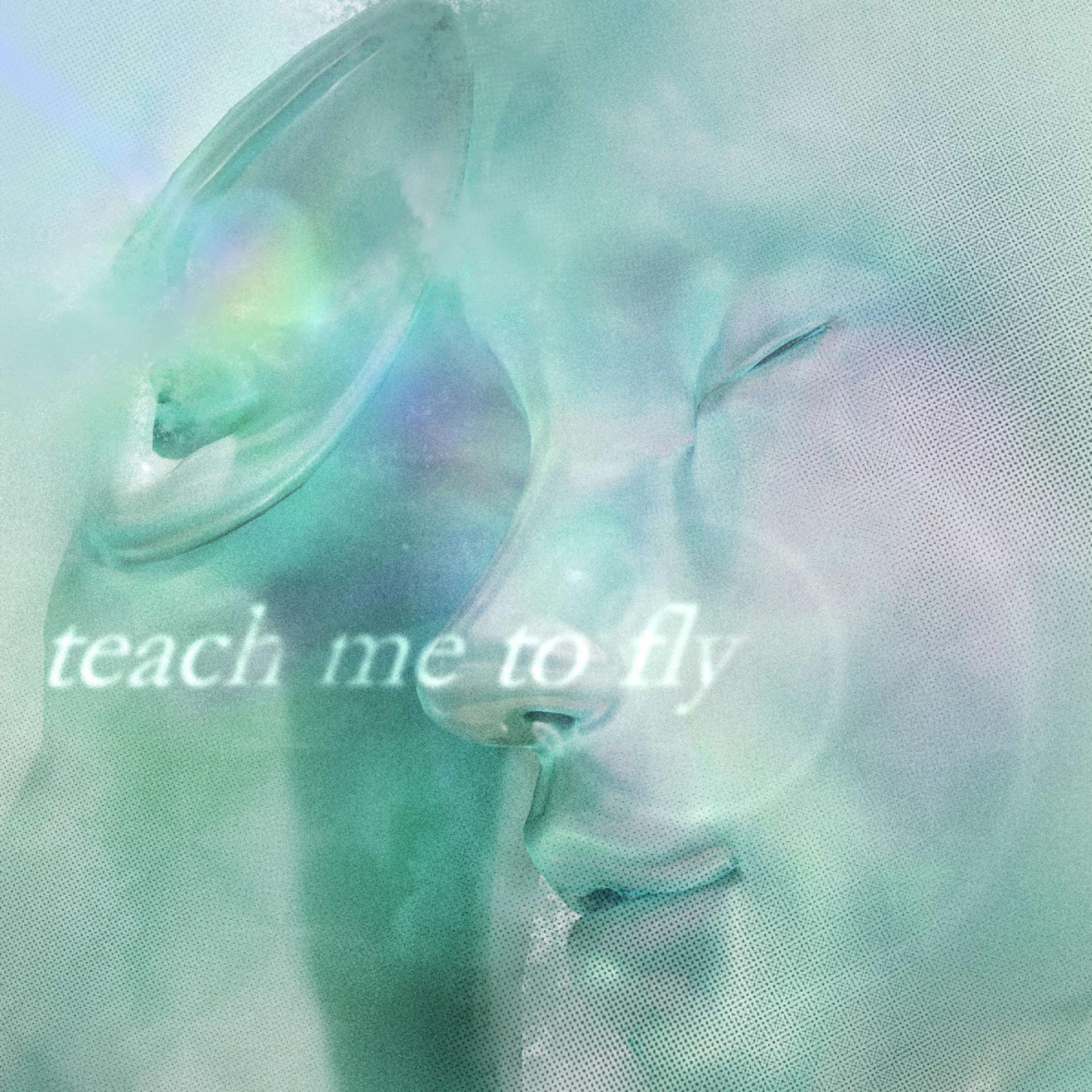 Постер альбома teach me to fly