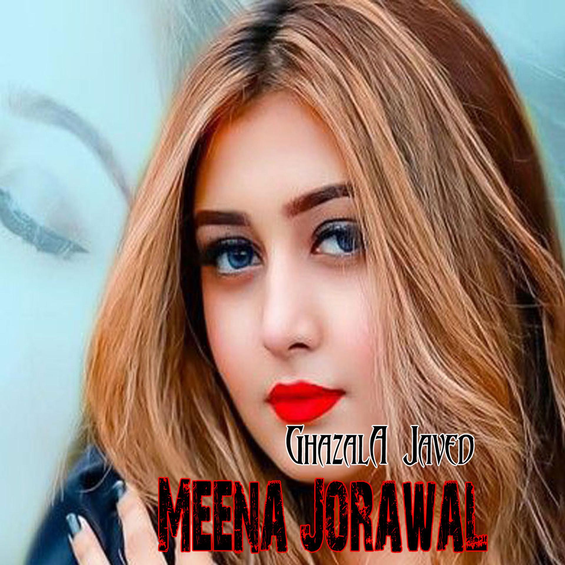 Постер альбома Meena Jorawal