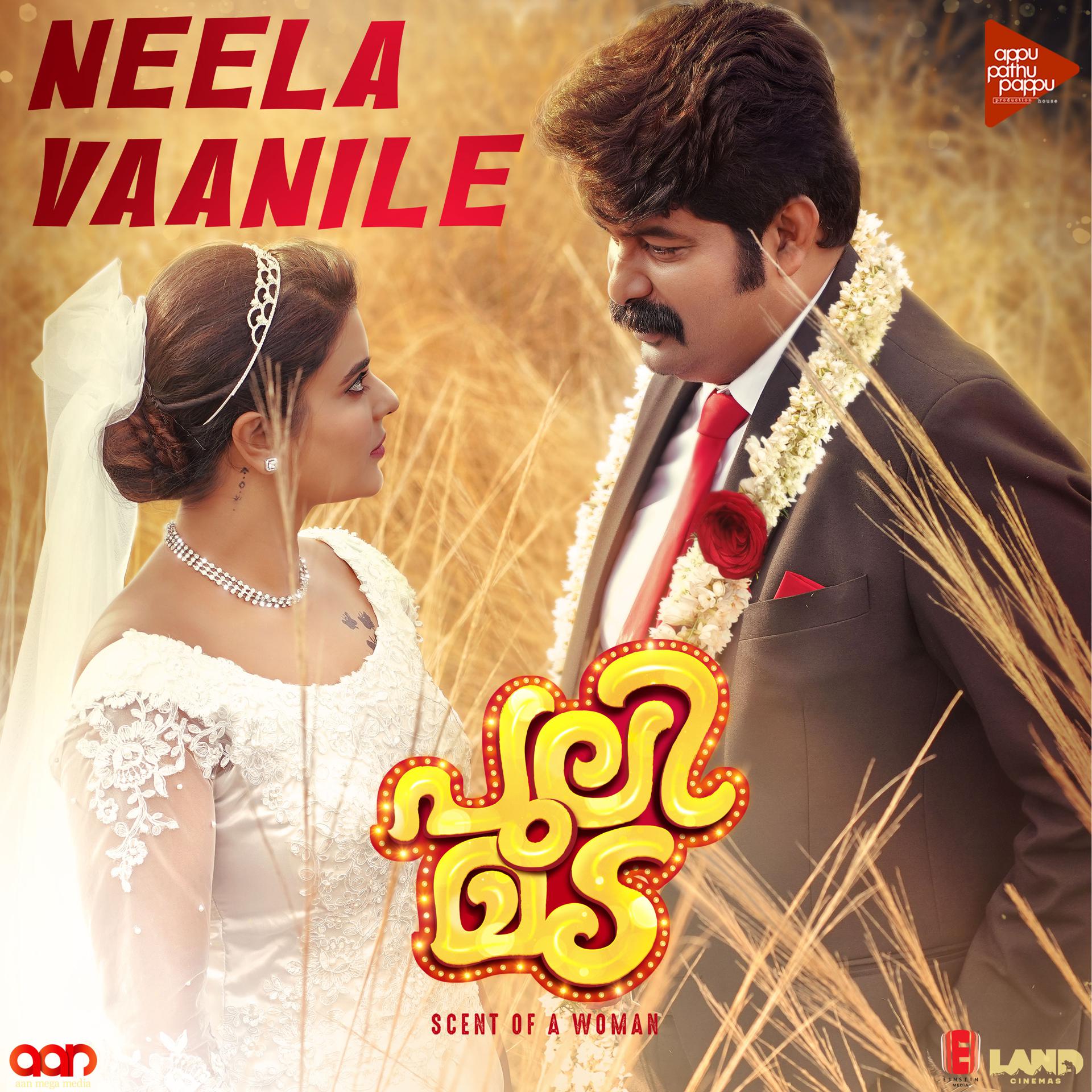 Постер альбома Neela Vaanile