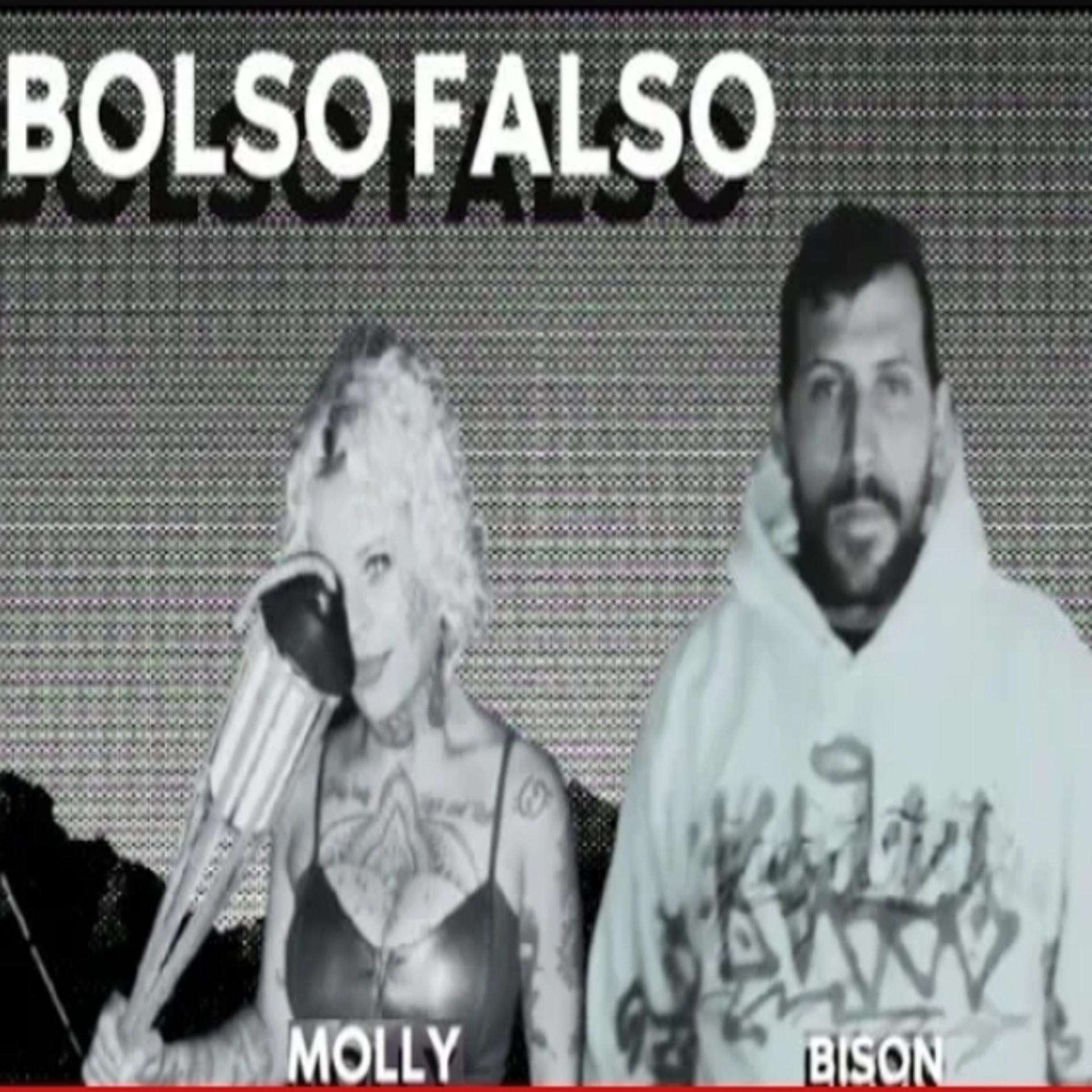 Постер альбома Bolso Falso