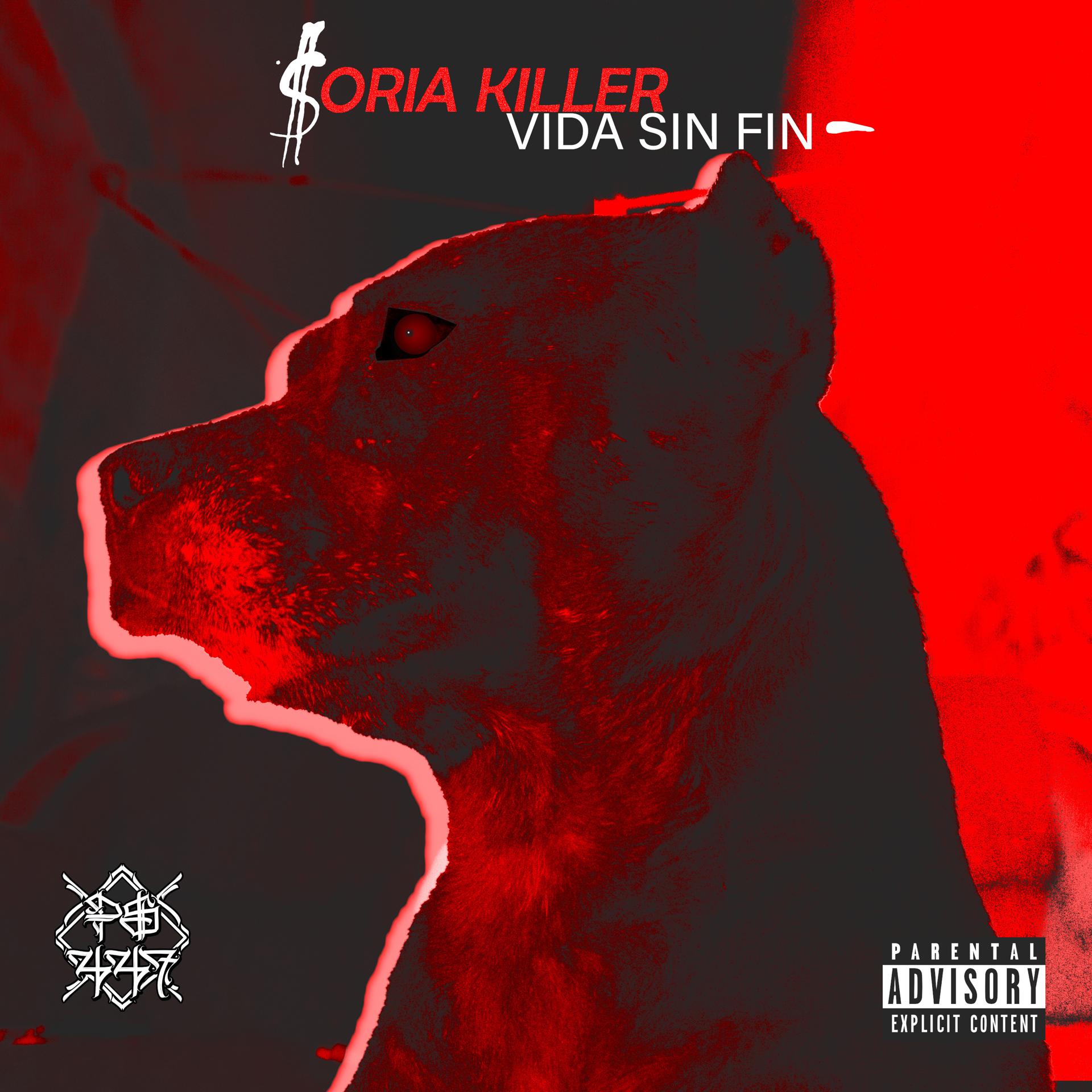 Постер альбома Vida Sin Fin
