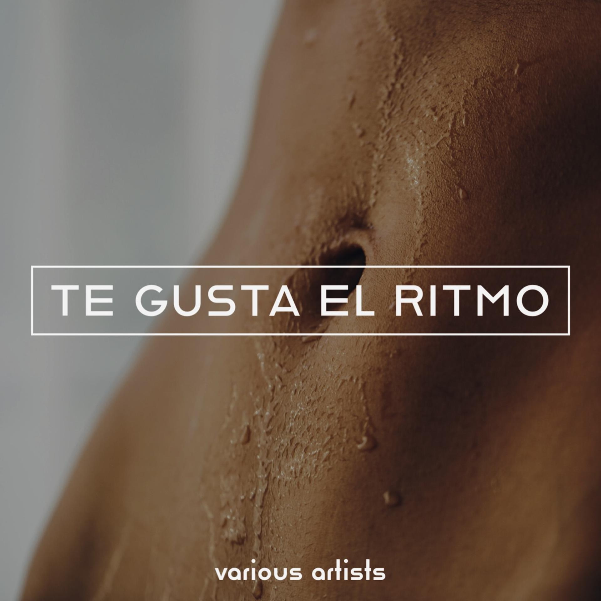Постер альбома Te Gusta el Ritmo