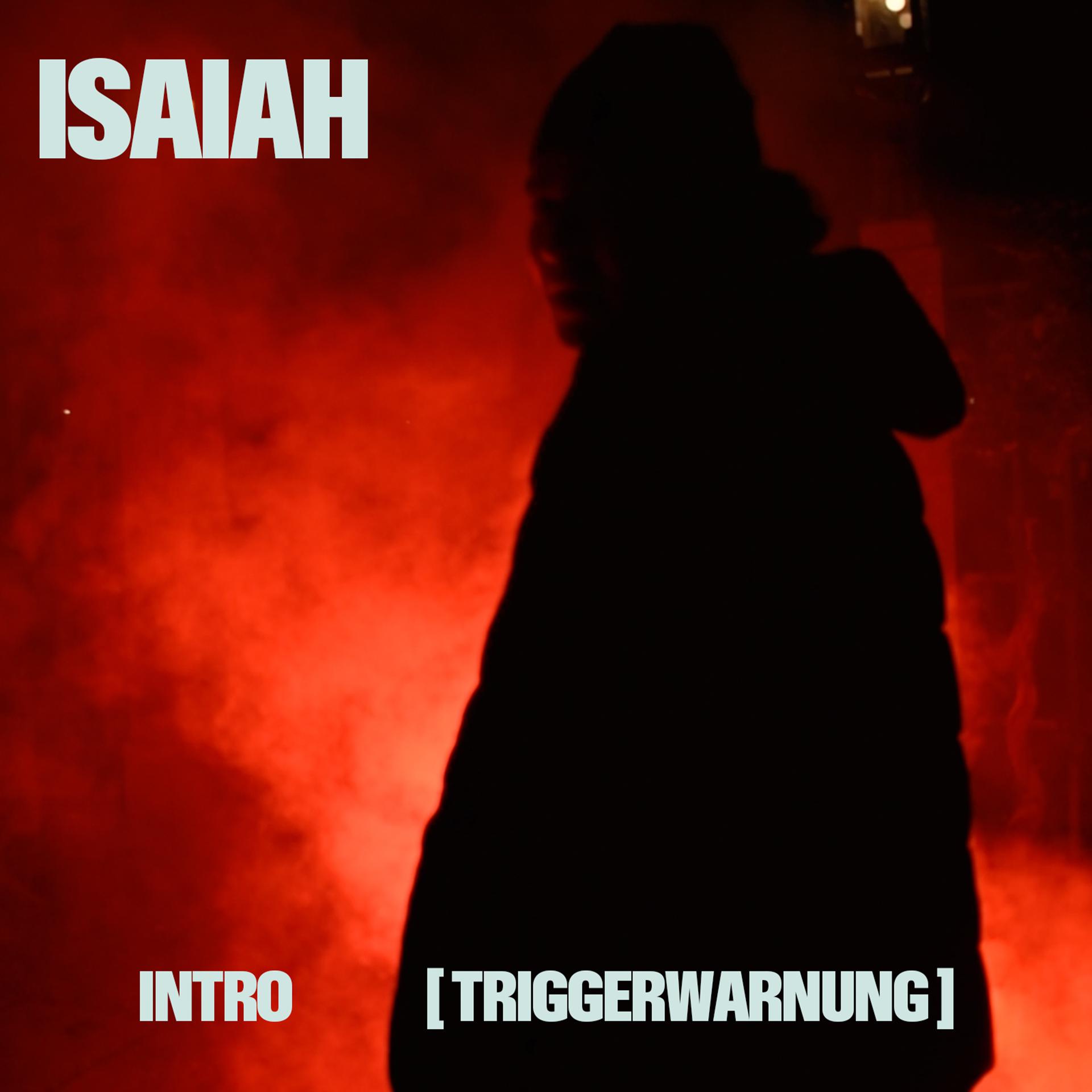 Постер альбома Intro (Triggerwarnung)
