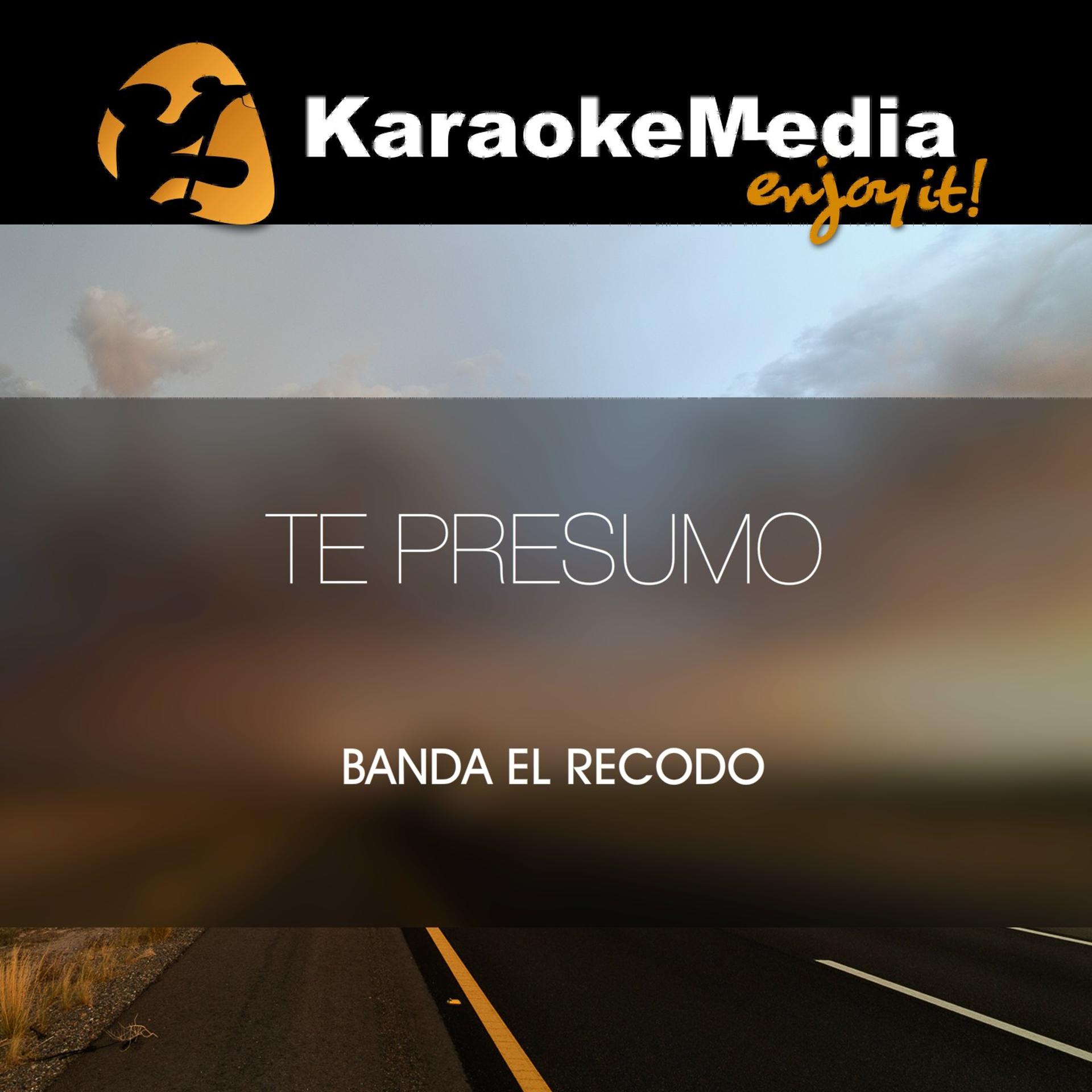 Постер альбома Te Presumo(Karaoke Version) [In The Style Of Banda El Recodo]
