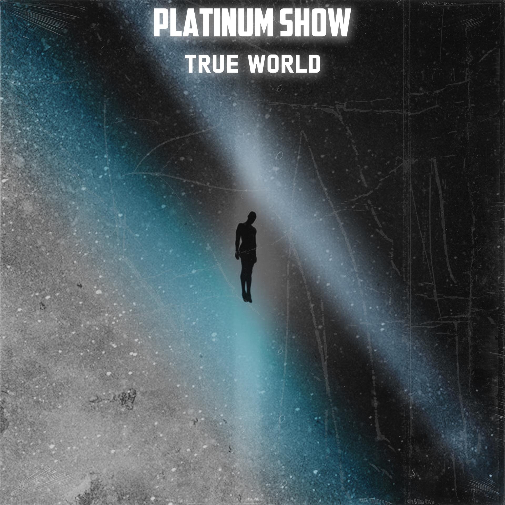 Постер альбома PLATINUM SHOW