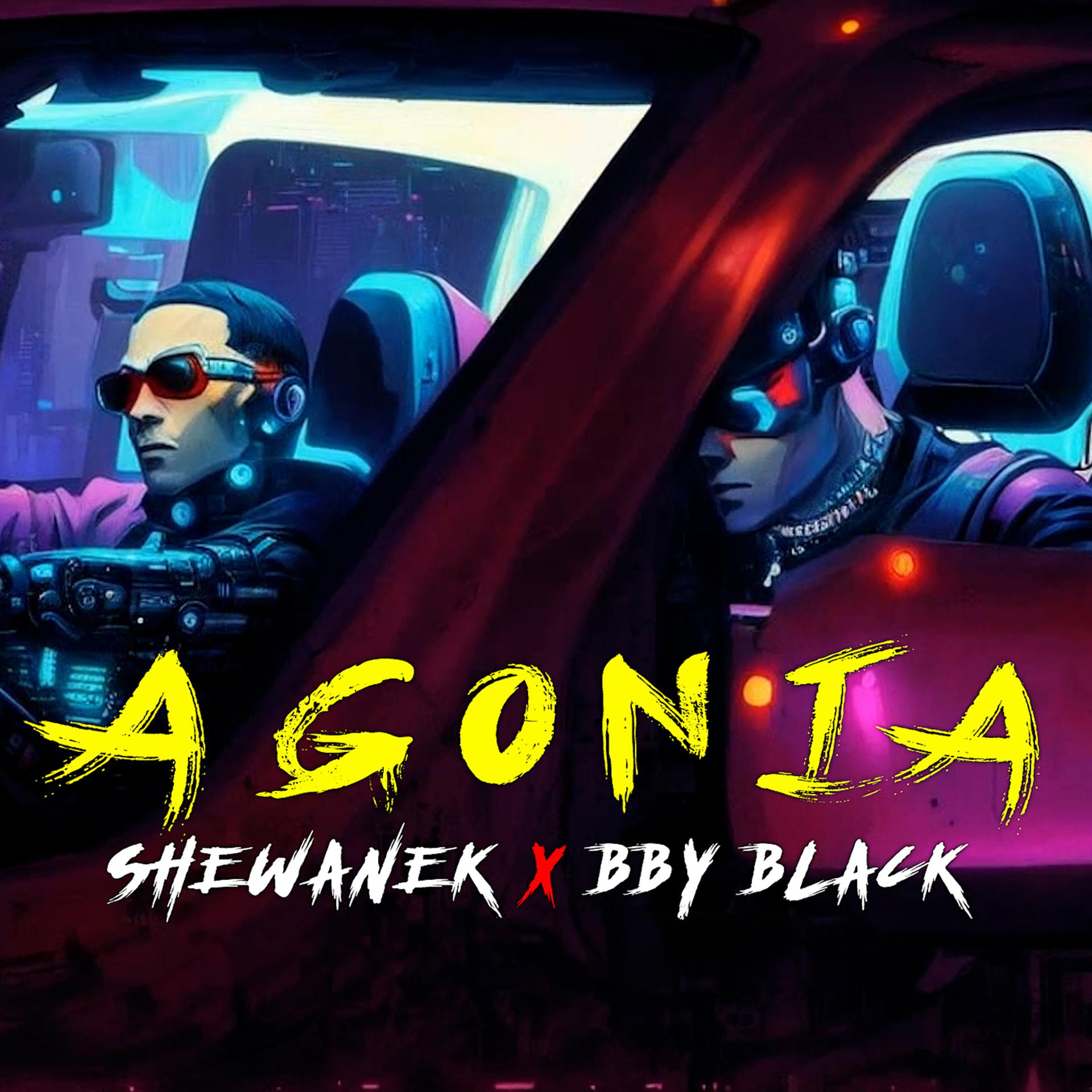 Постер к треку ShewaneK, BBY Black - Agonia