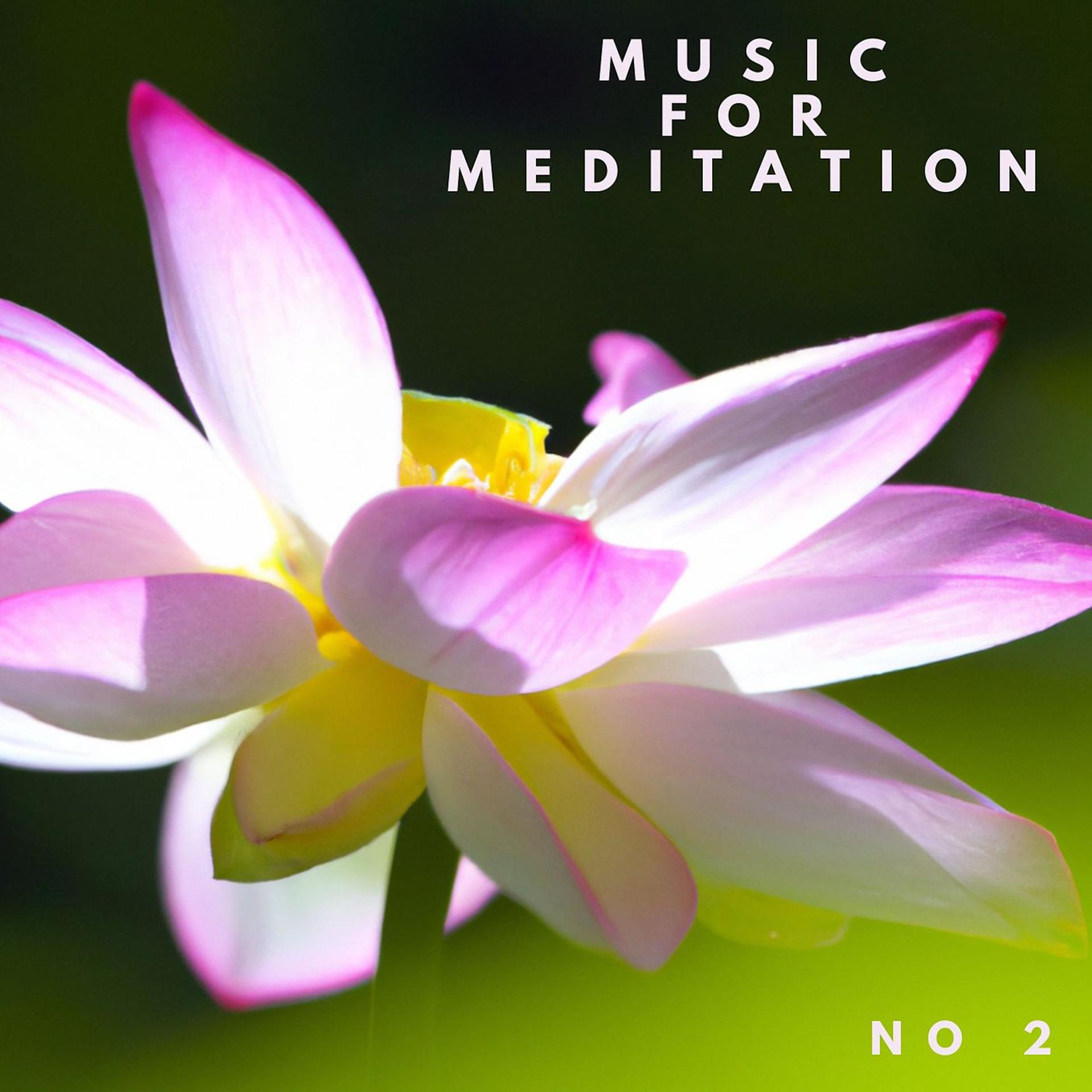 Постер альбома Music for Meditation No 2
