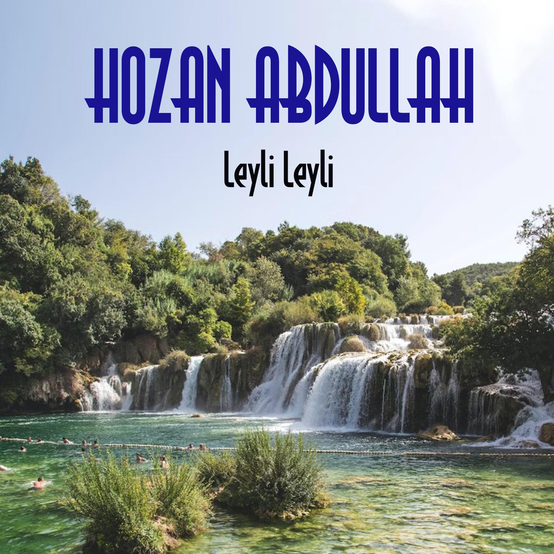 Постер альбома Leyli Leyli
