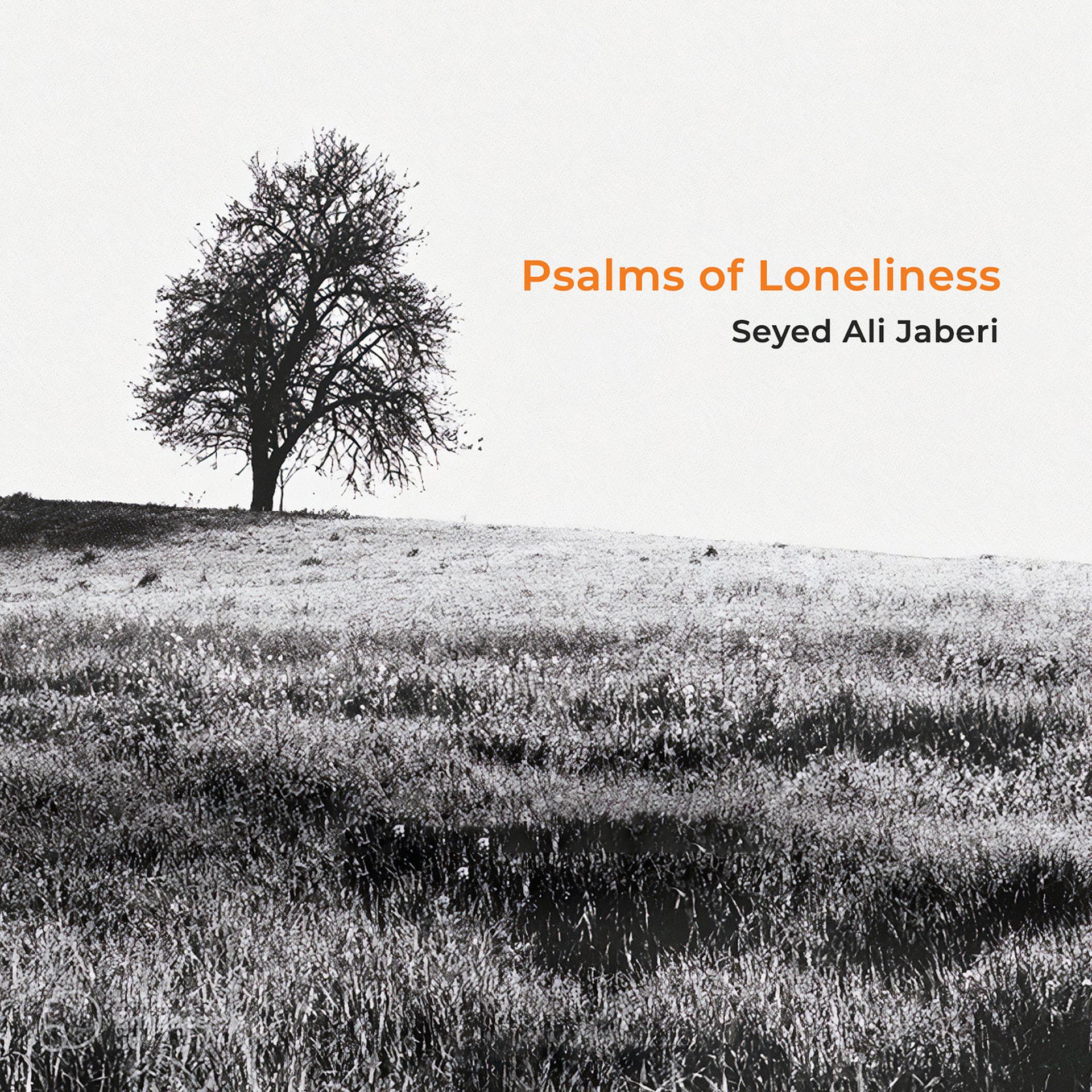 Постер альбома Psalms of Loneliness
