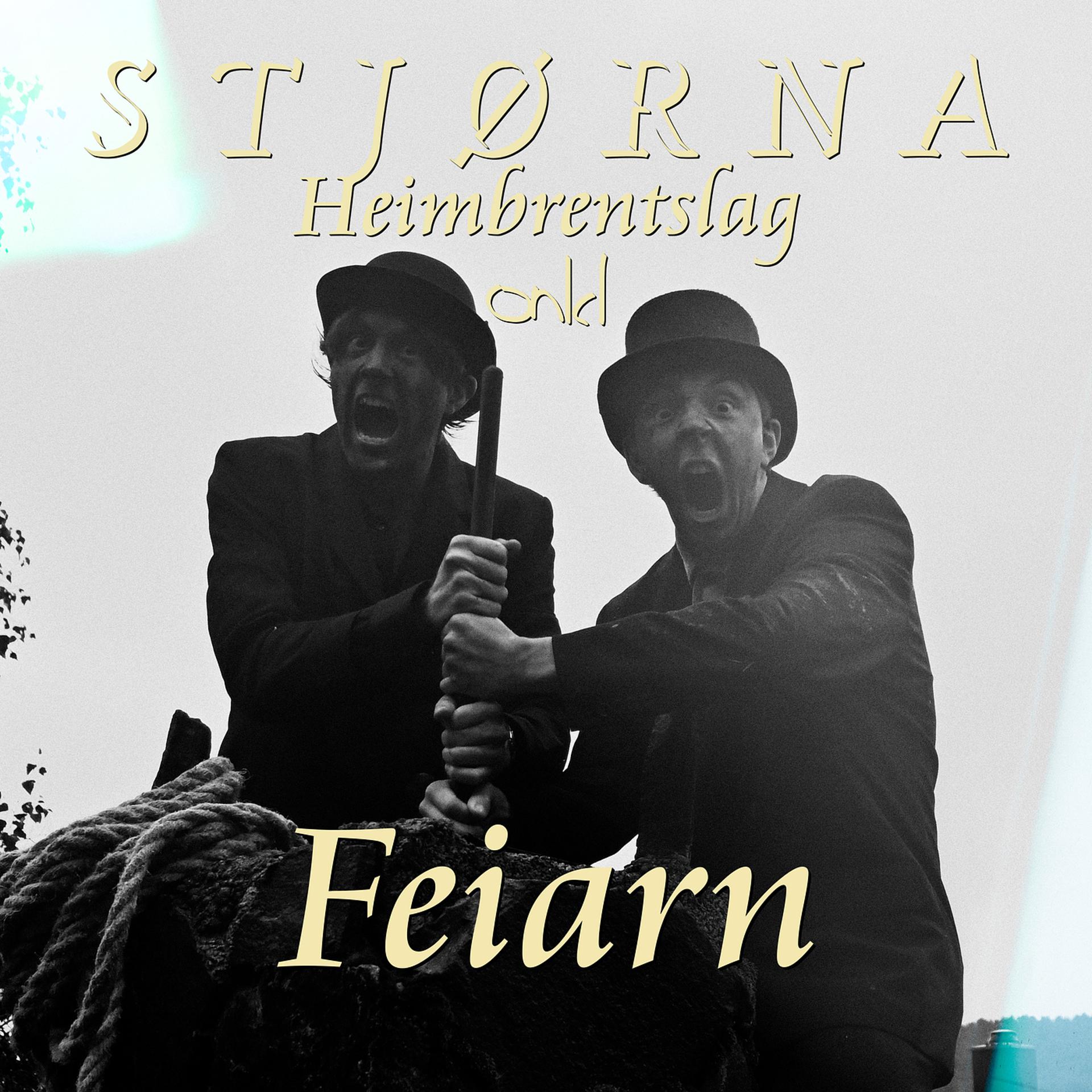 Постер альбома Feiarn