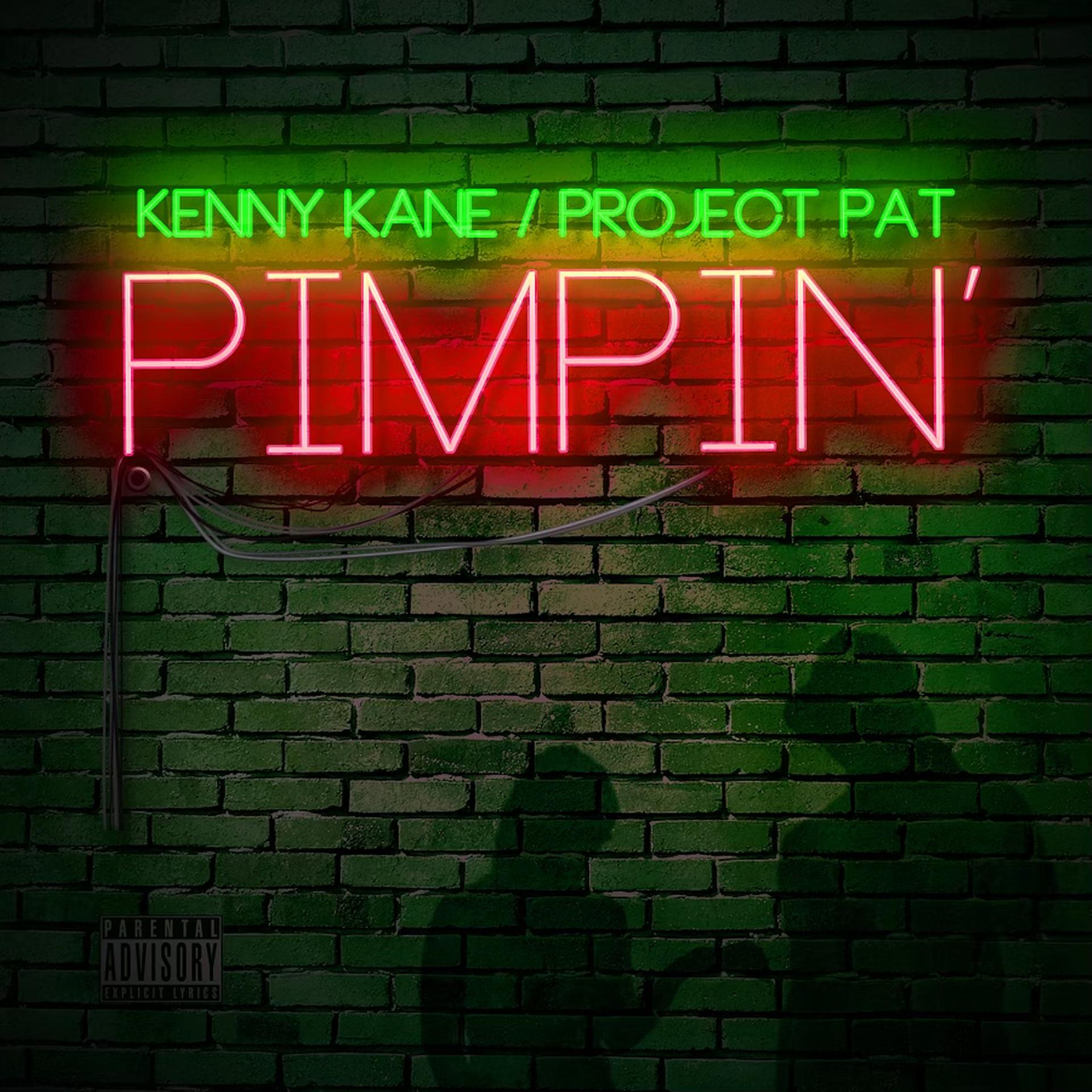 Постер альбома Pimpin