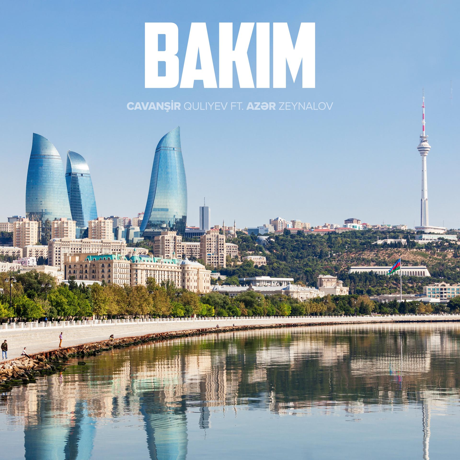 Постер альбома Bakım