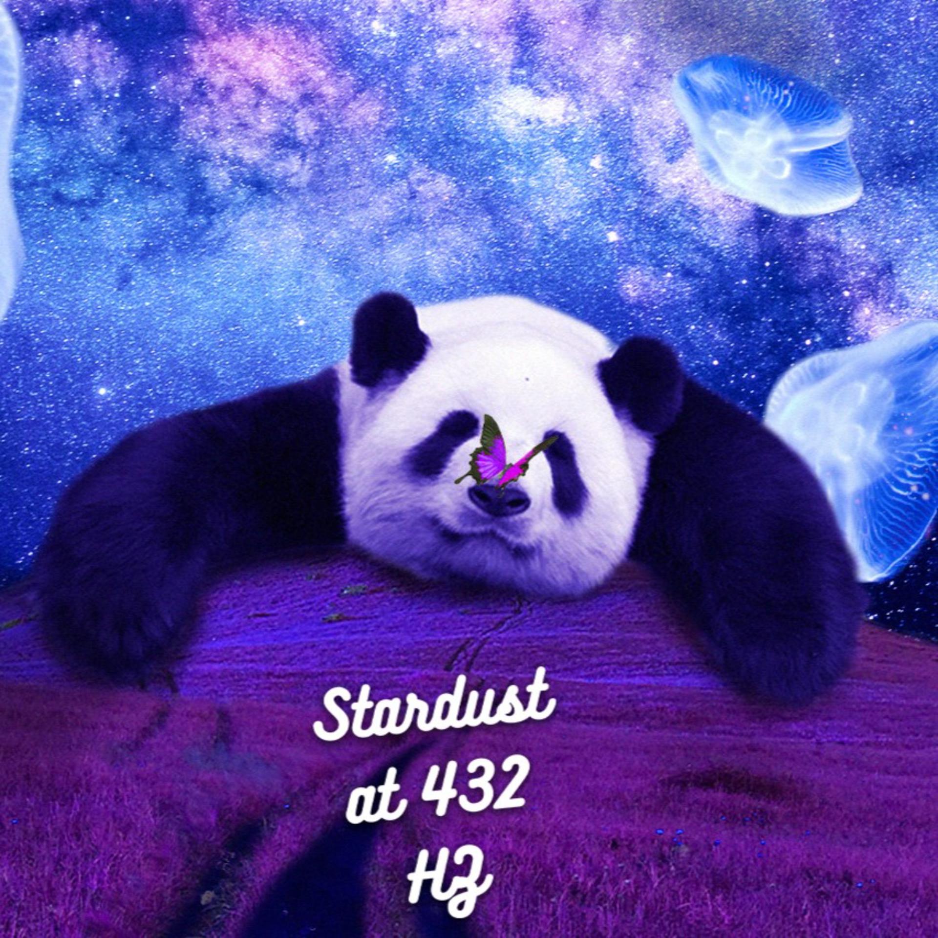 Постер альбома The Ballad Of The Panda