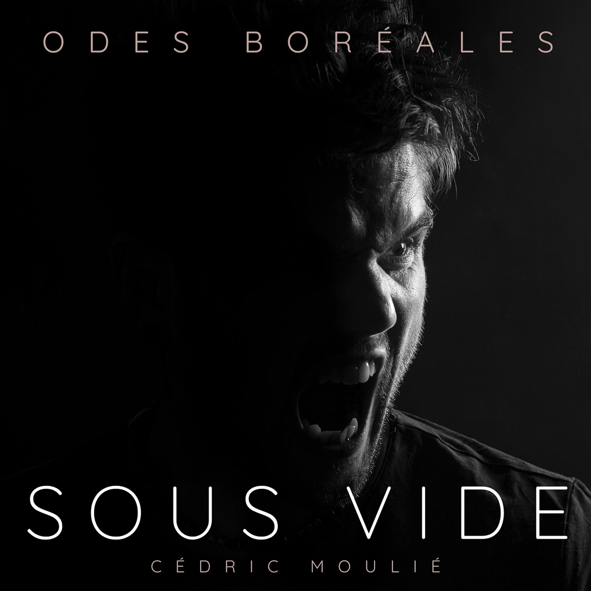 Постер альбома Odes Boréales - Sous Vide
