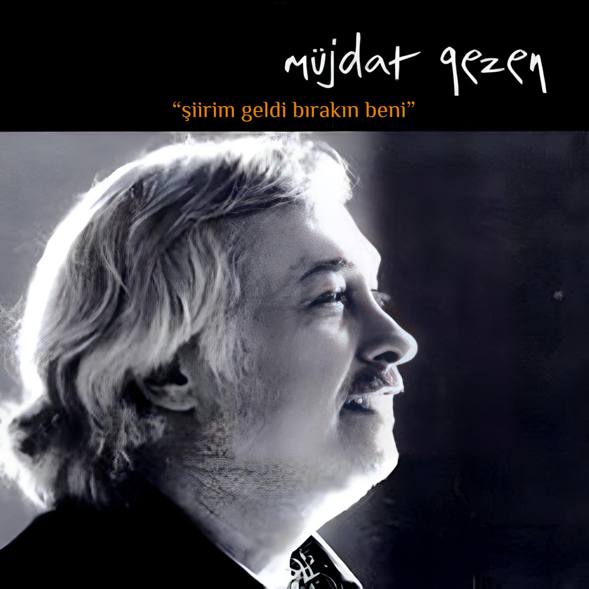 Постер альбома Şiirim Geldi Bırakın Beni