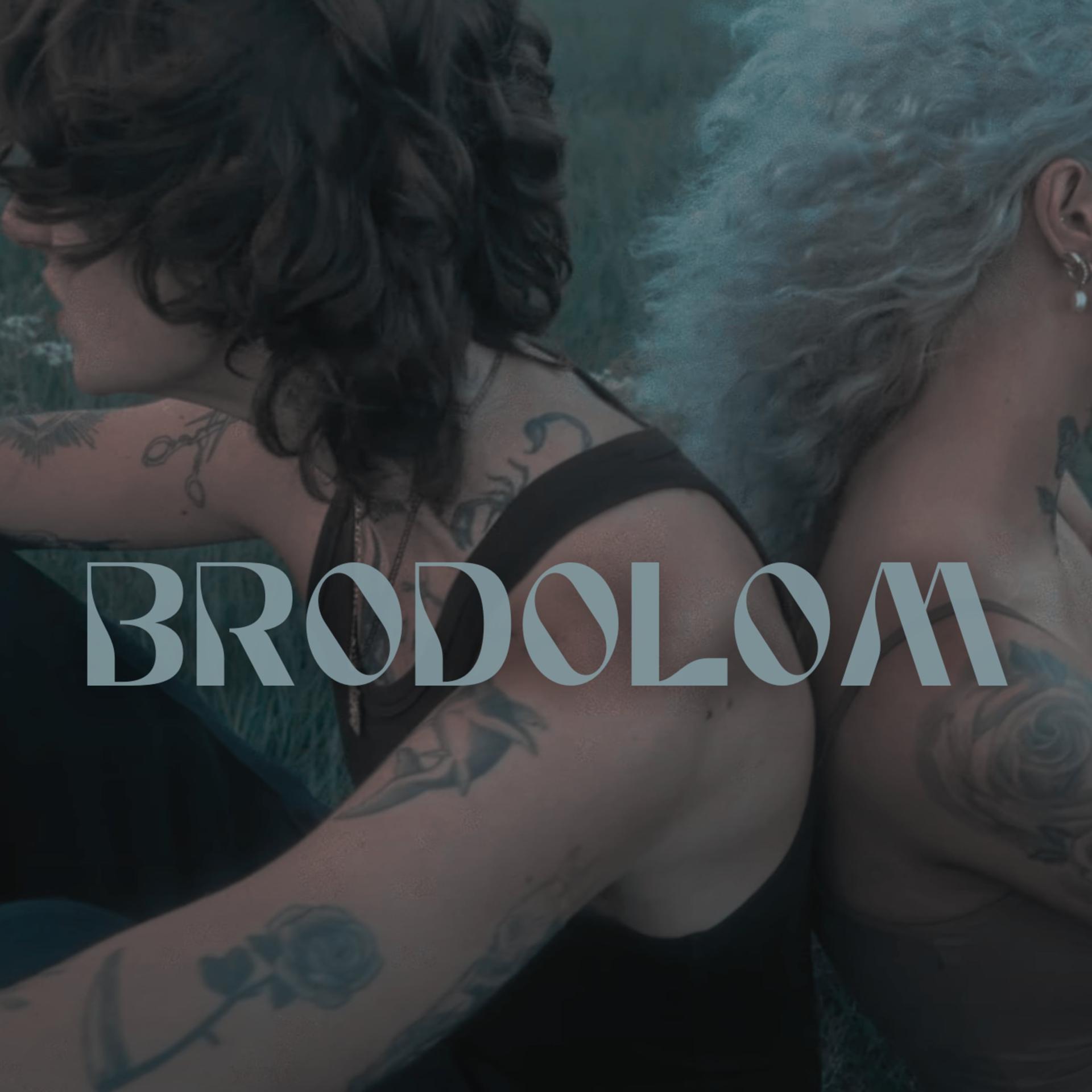 Постер альбома Brodolom