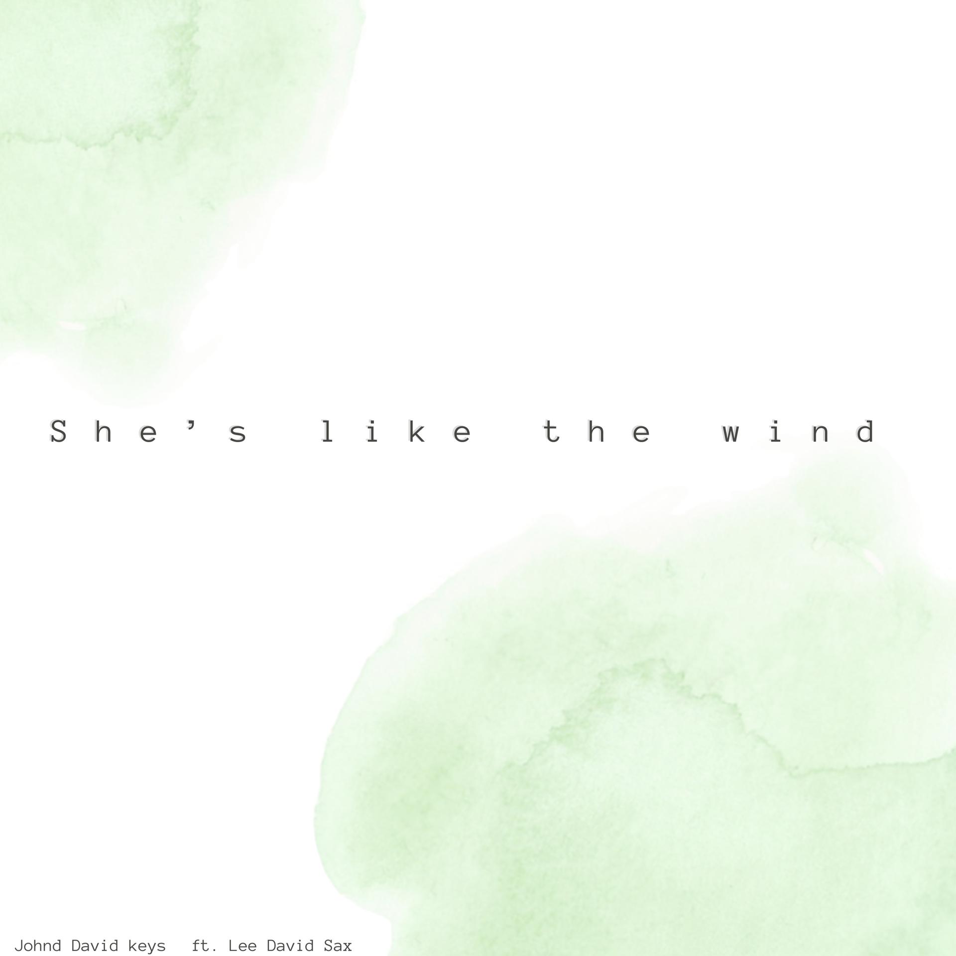 Постер альбома She’s Like the Wind