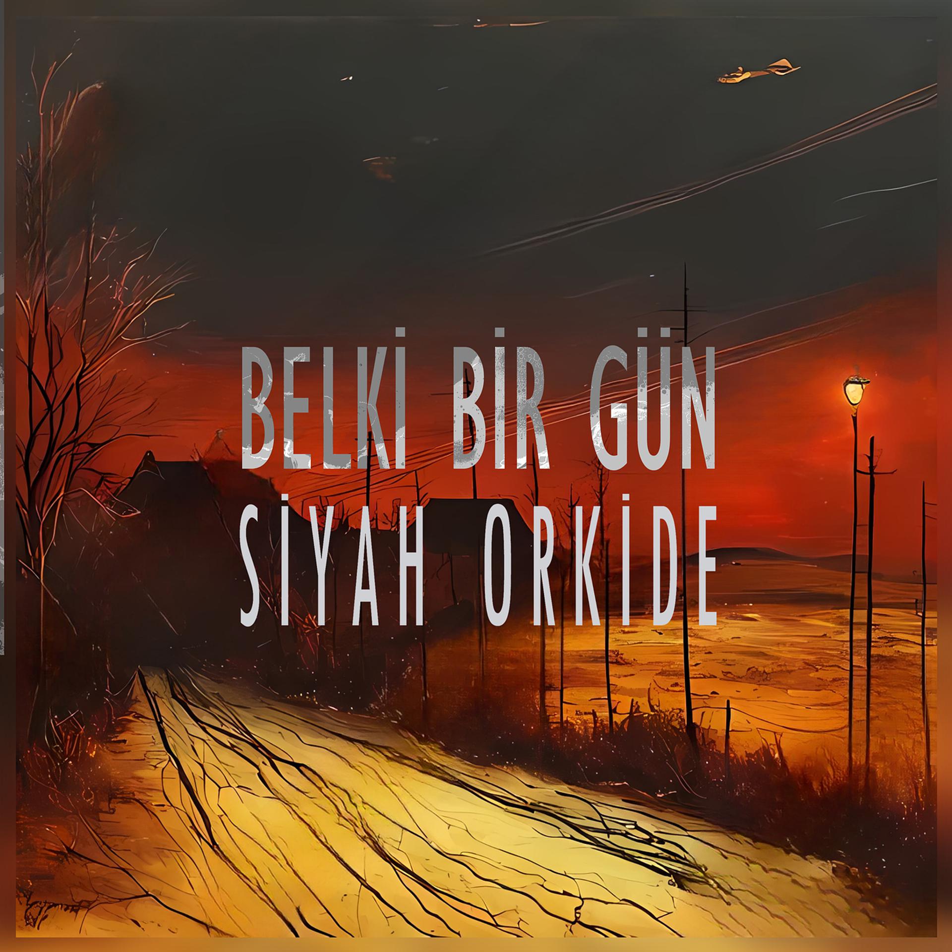 Постер альбома Belki Bir Gün