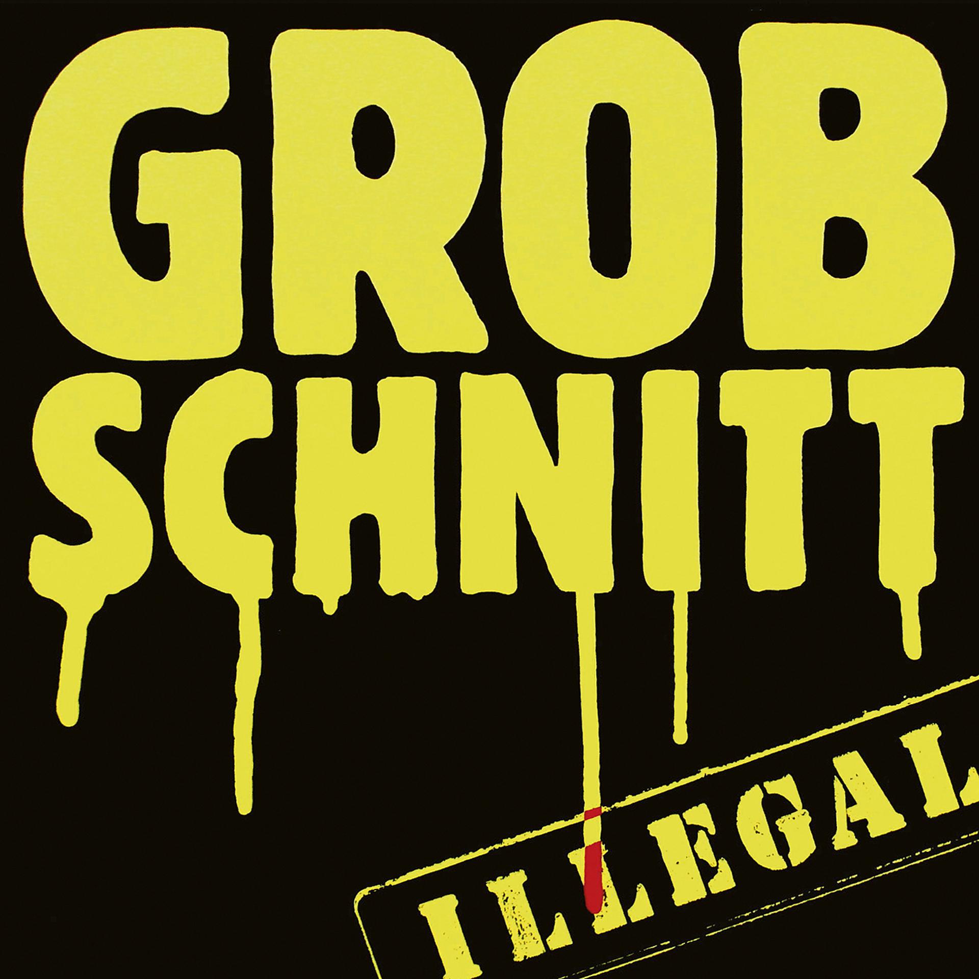 Постер альбома Illegal