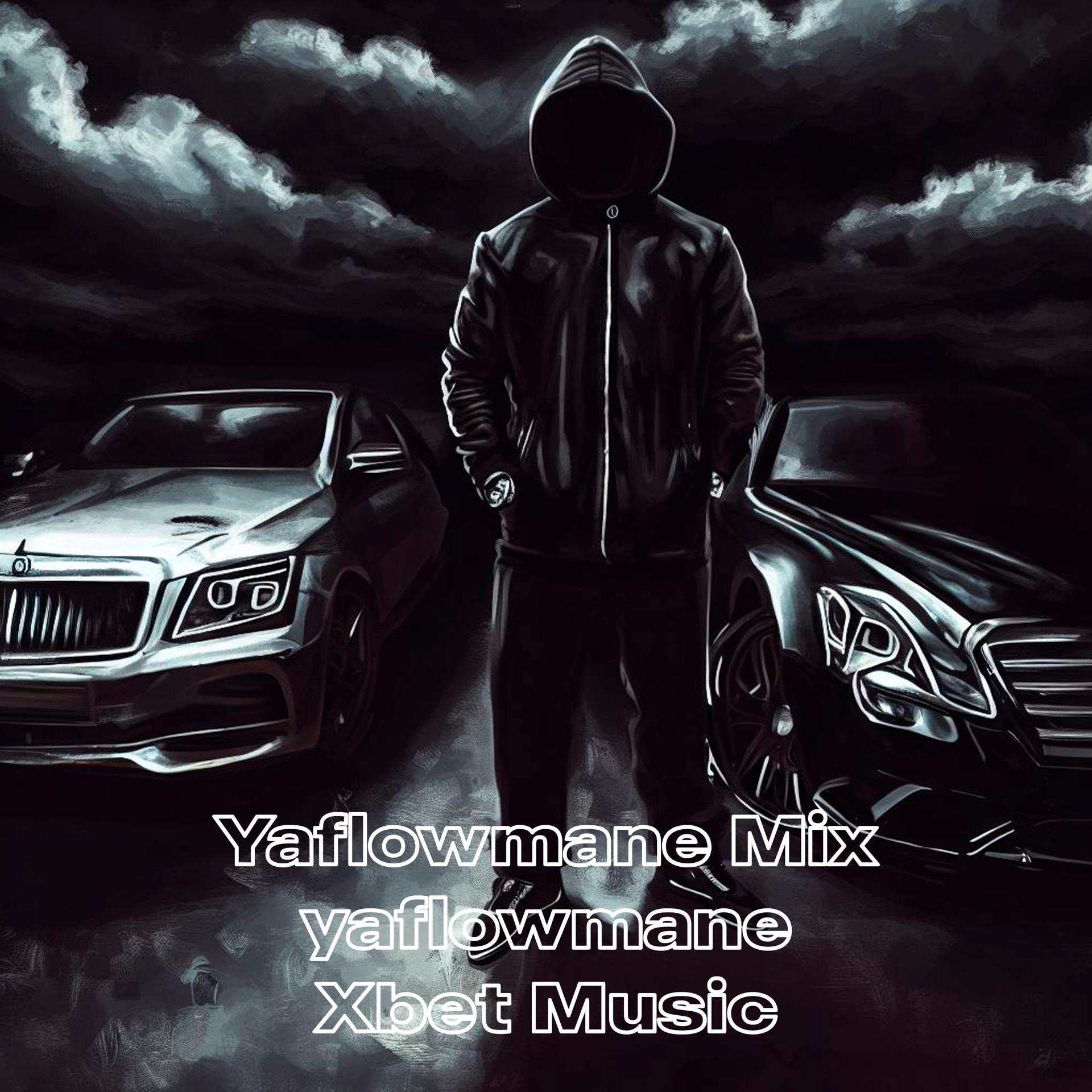 Постер альбома Yaflowmane Mix