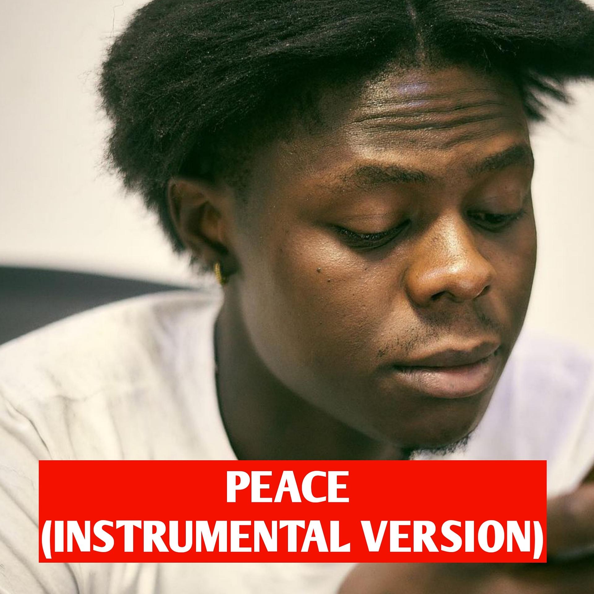 Постер альбома Peace (Instrumental Version)